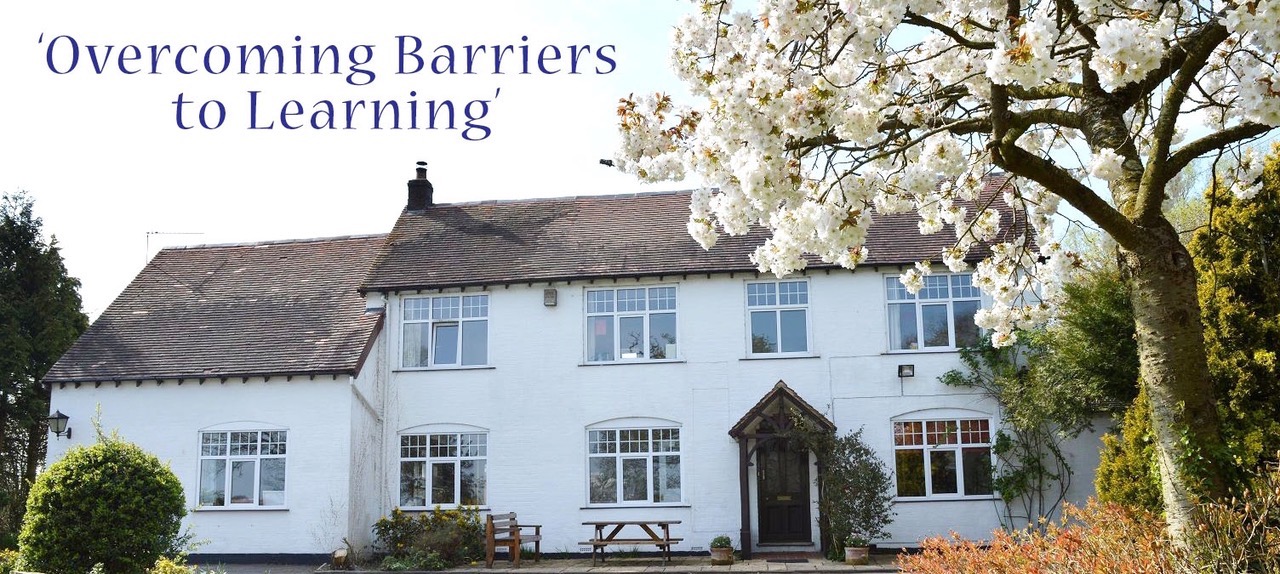 User-uploaded image 1