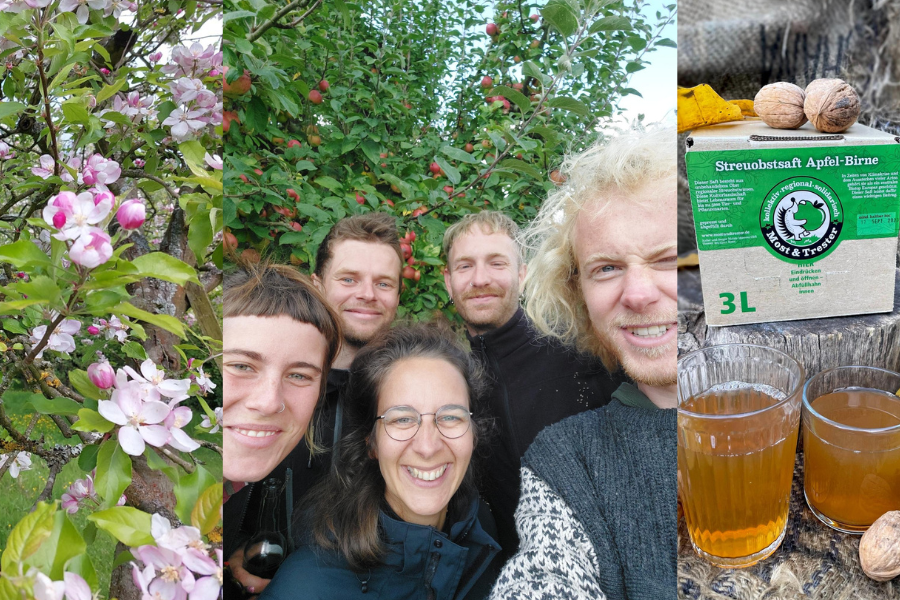 Kampagnen-Foto für Fossilfreie Mosterei: Streuobst meets Klimaschutz, 2 von 4