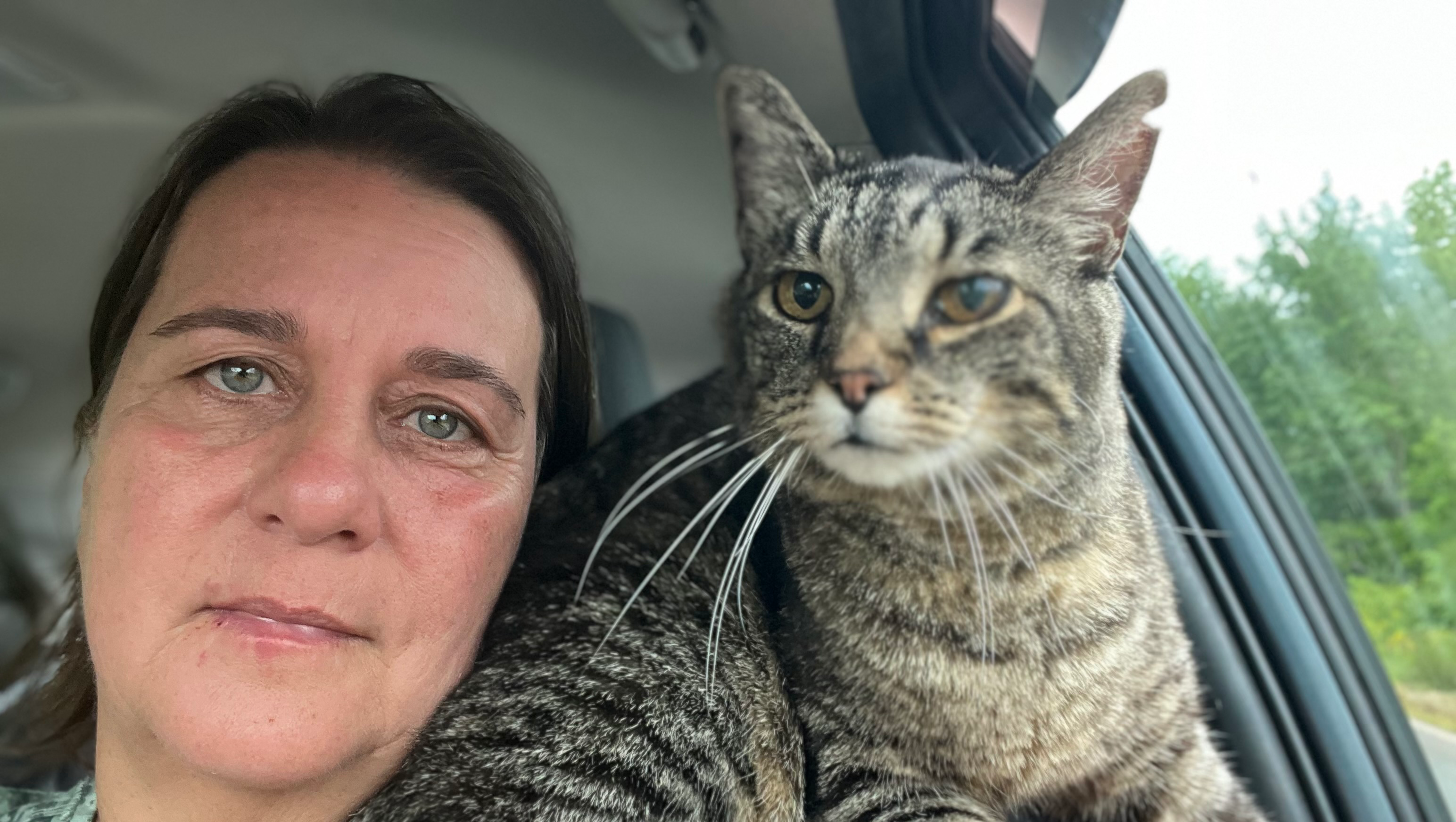 Help with Willow’s emergency vet bills photo