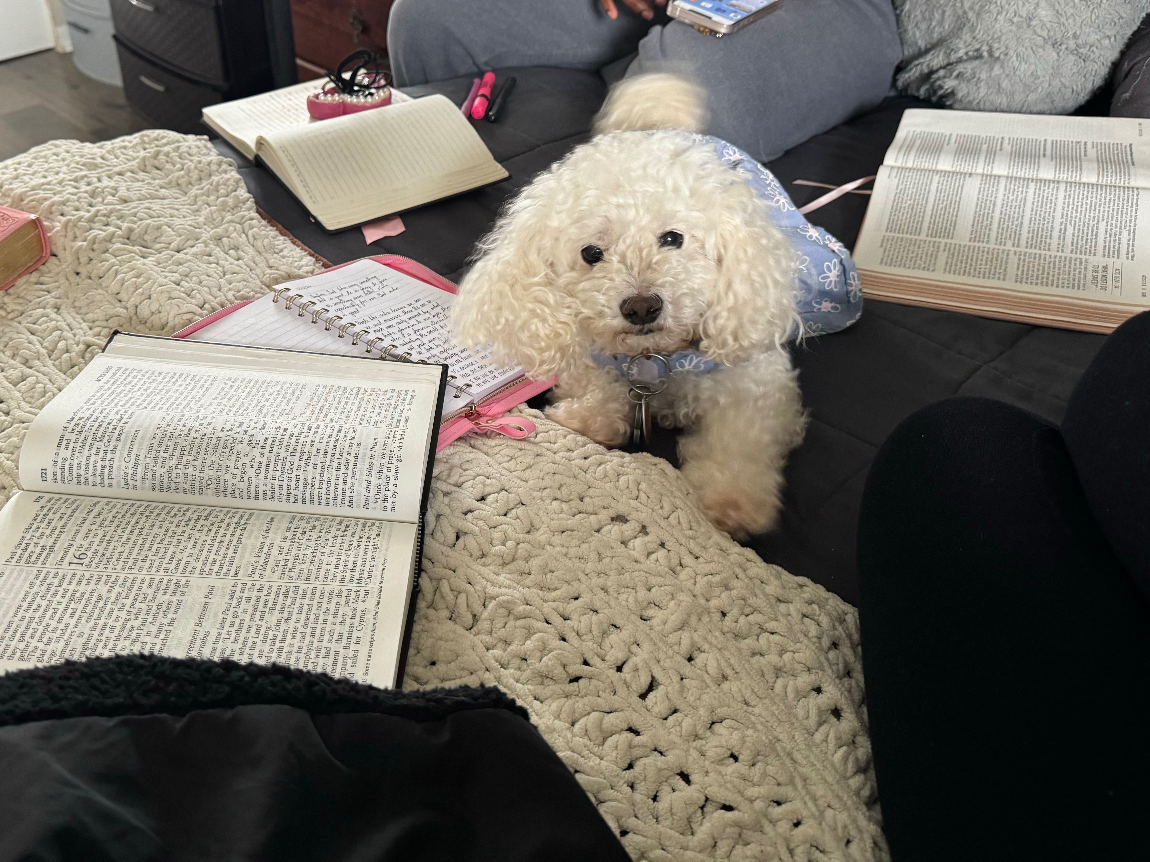 Prayers for Chanel- from Diagnosis to ICU campaign photo, 5 of 8