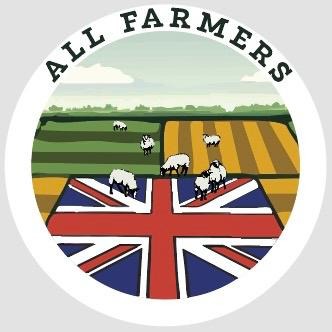 User-uploaded image 1