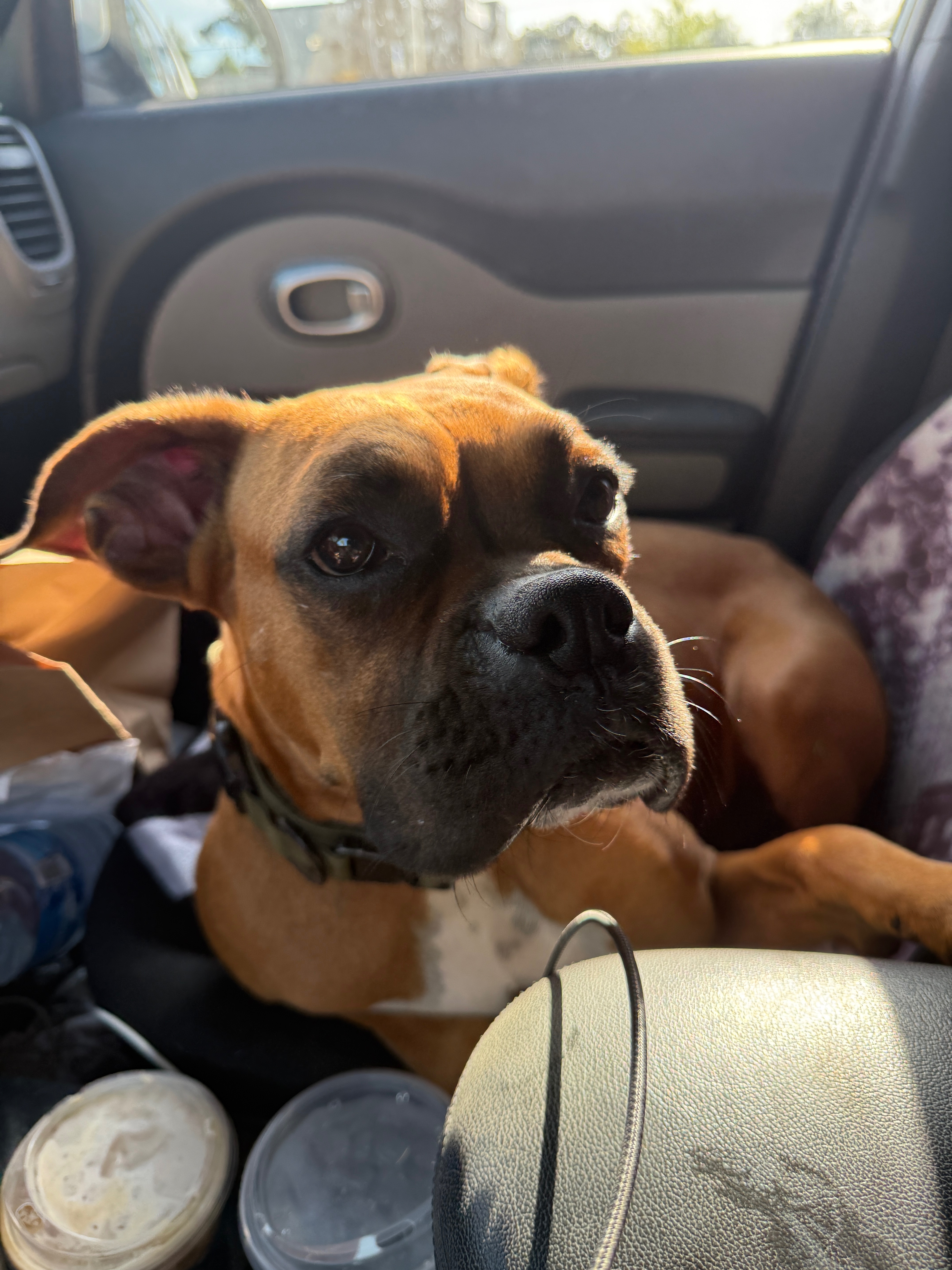 User-uploaded image 2