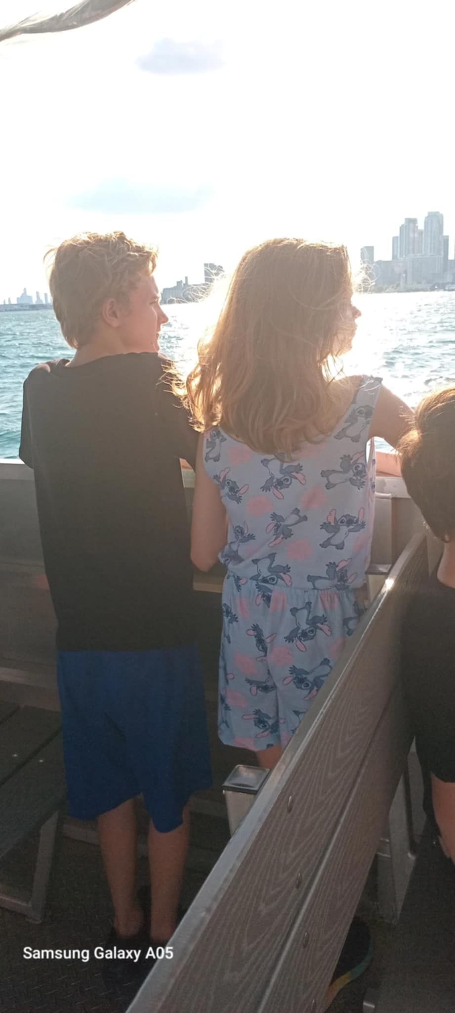 User-uploaded image 1