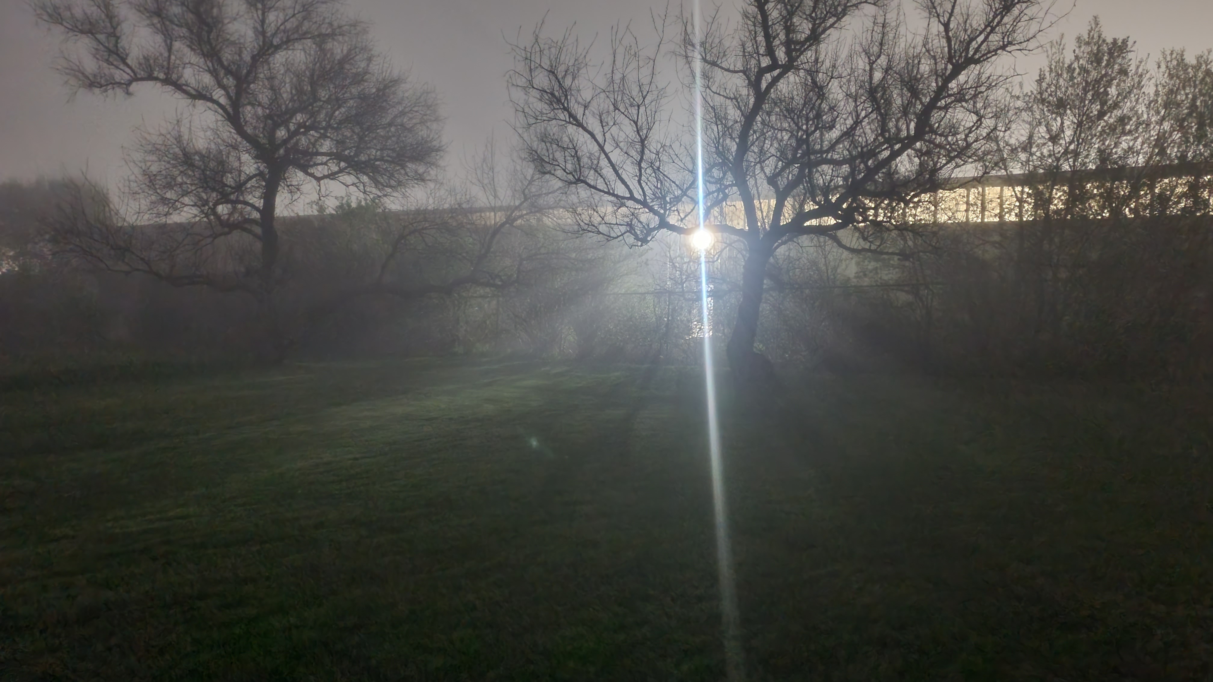 User-uploaded image 1