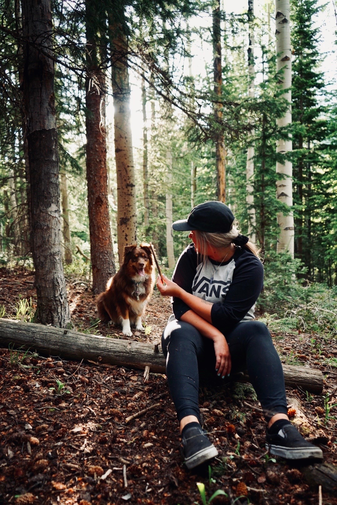 Help us get Harlow back on her paws campaign photo, 6 of 8