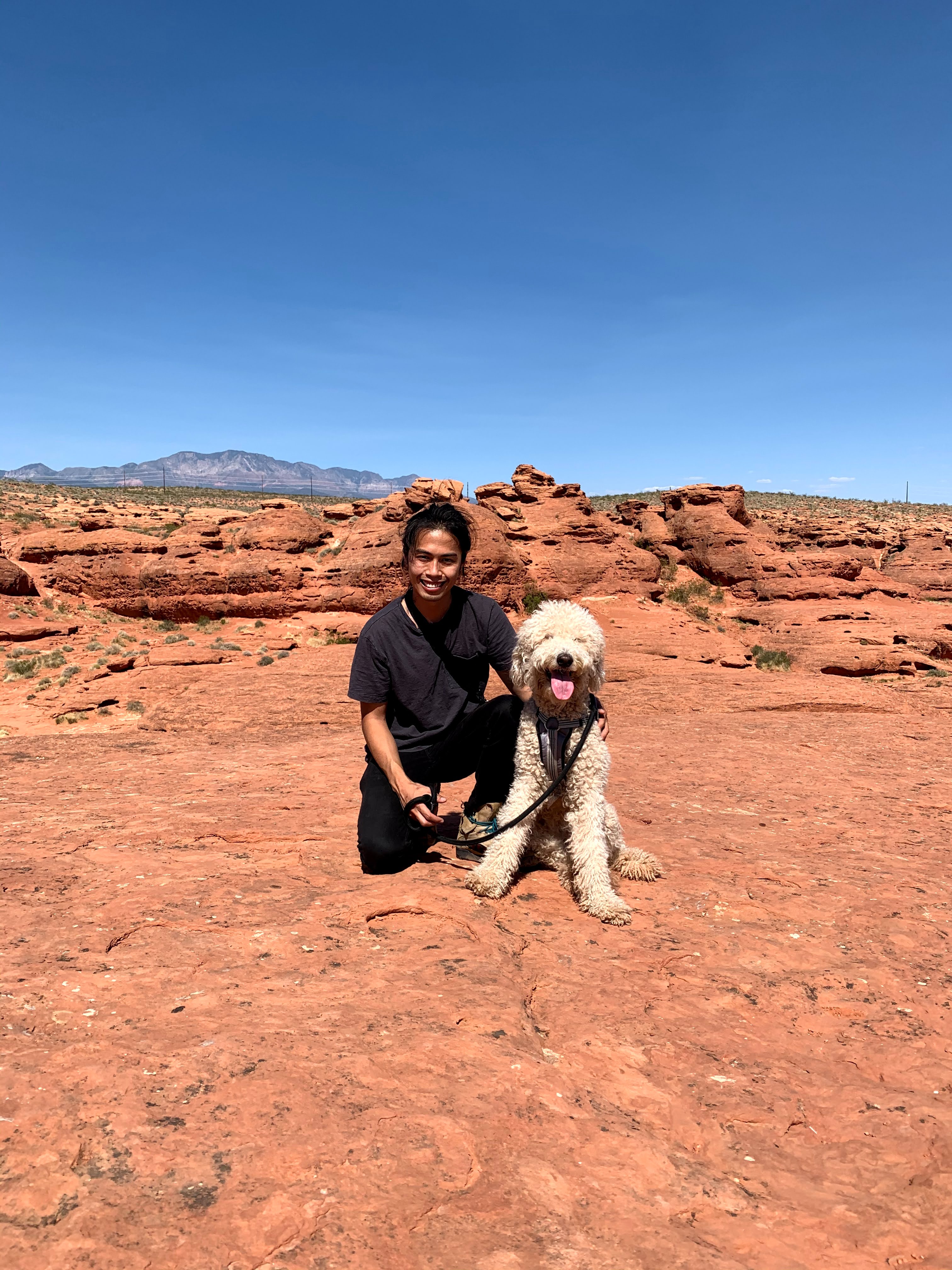 Please Help Winona Recover from Tumor Surgery campaign photo, 5 of 7