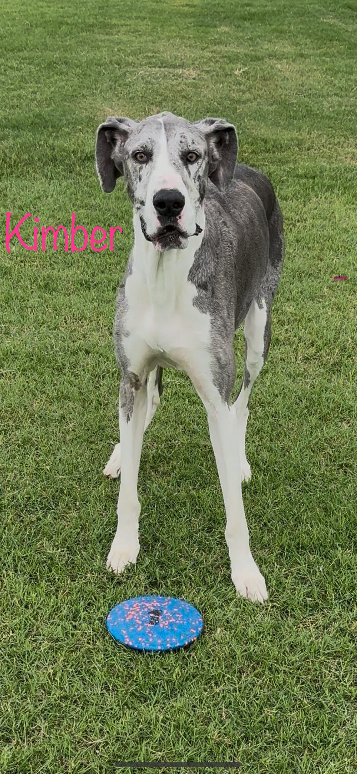 Help Kimber’s Family campaign photo, 7 of 8