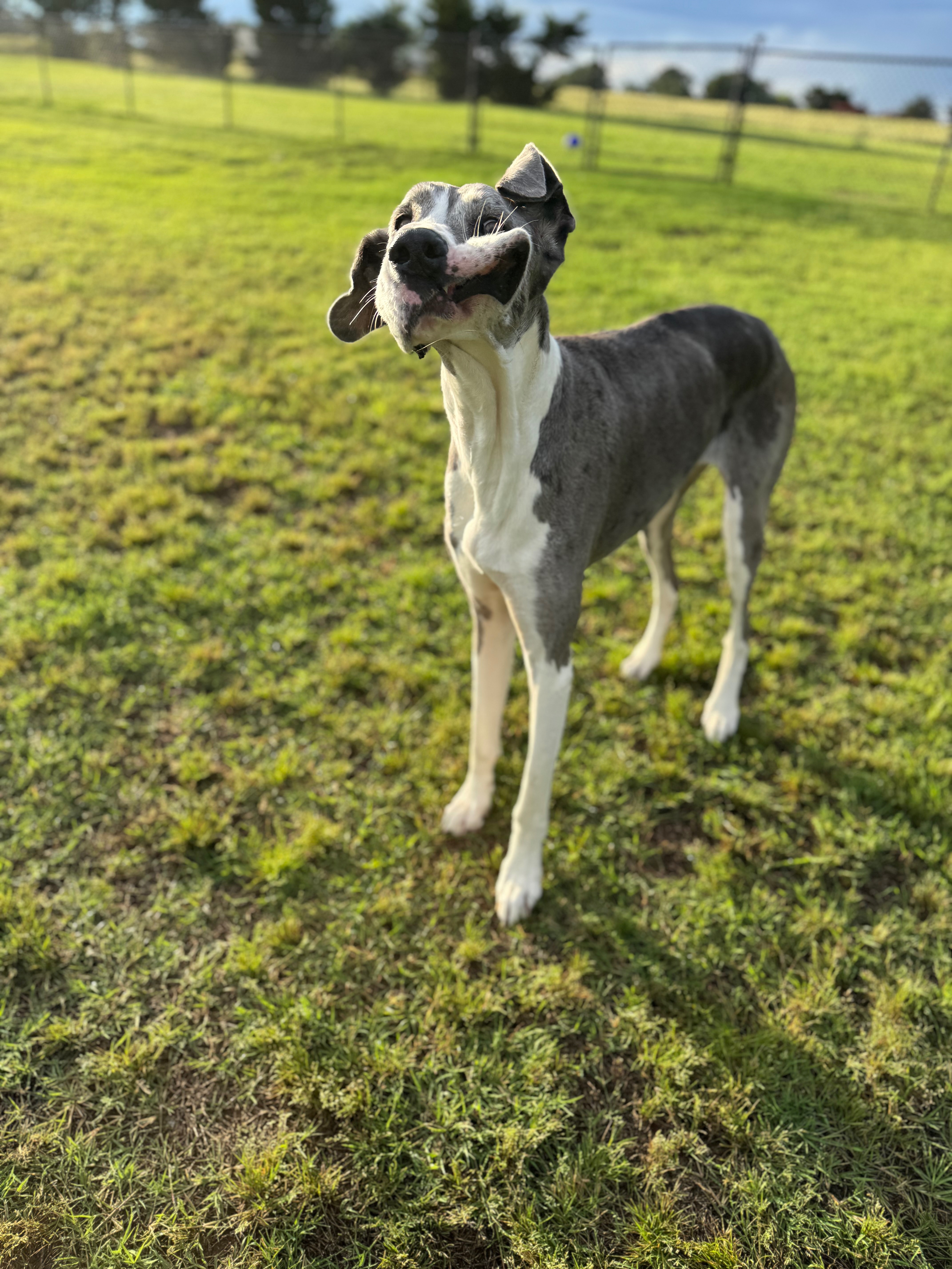 Help Kimber’s Family campaign photo, 2 of 8
