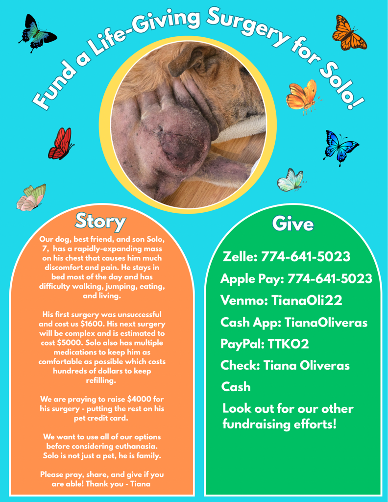 Urgent Surgery for Solo's Growing Tumor campaign photo, 4 of 6