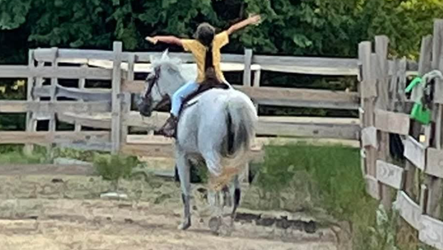 Kristina's Heartbreak: Horse Stolen on Good Friday photo