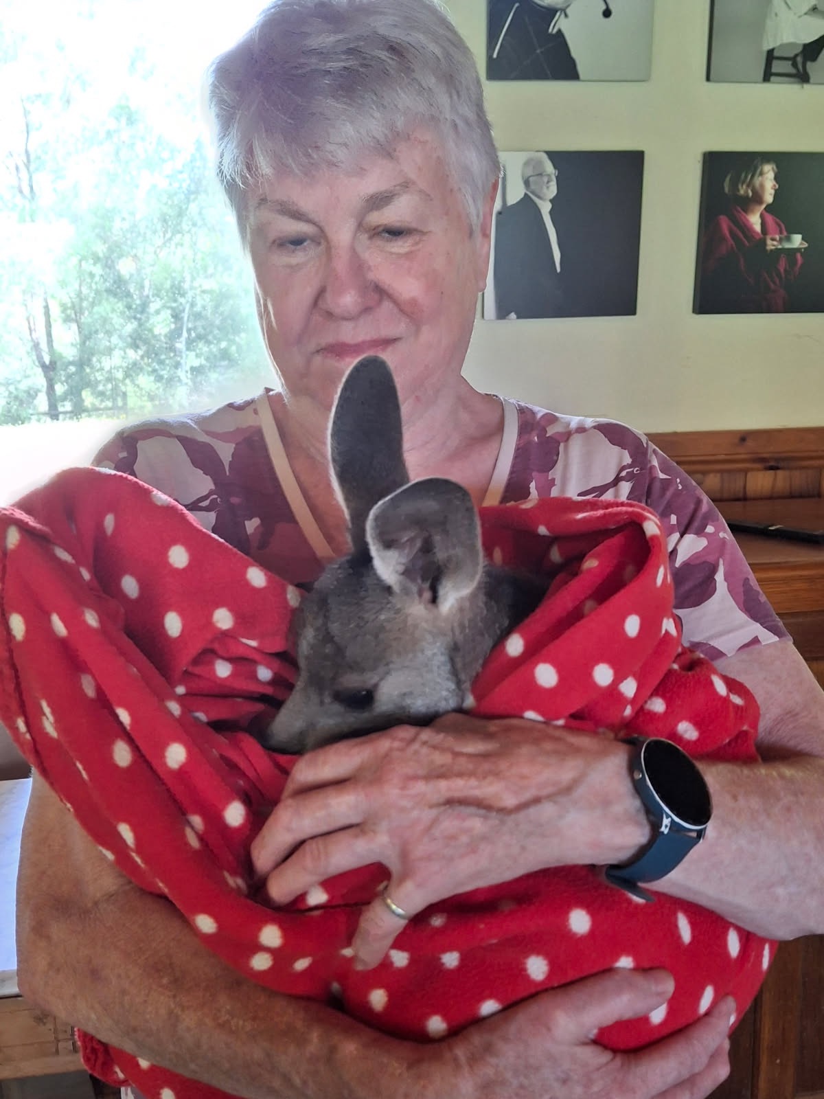 Wildlife carer Pam has lost everything in a house fire campaign photo, 5 of 8