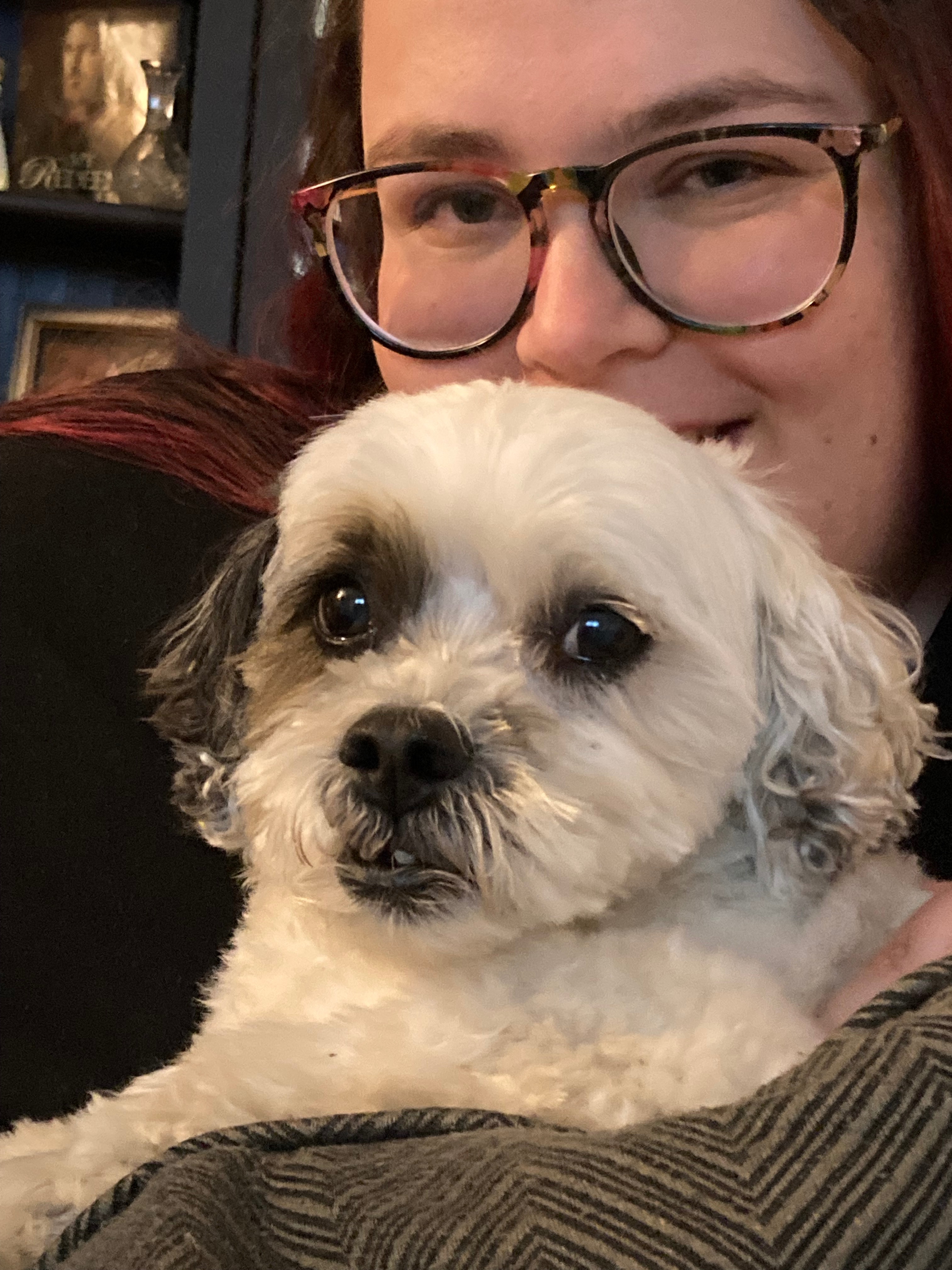 Support Walter's Life-Saving Surgery campaign photo, 4 of 8