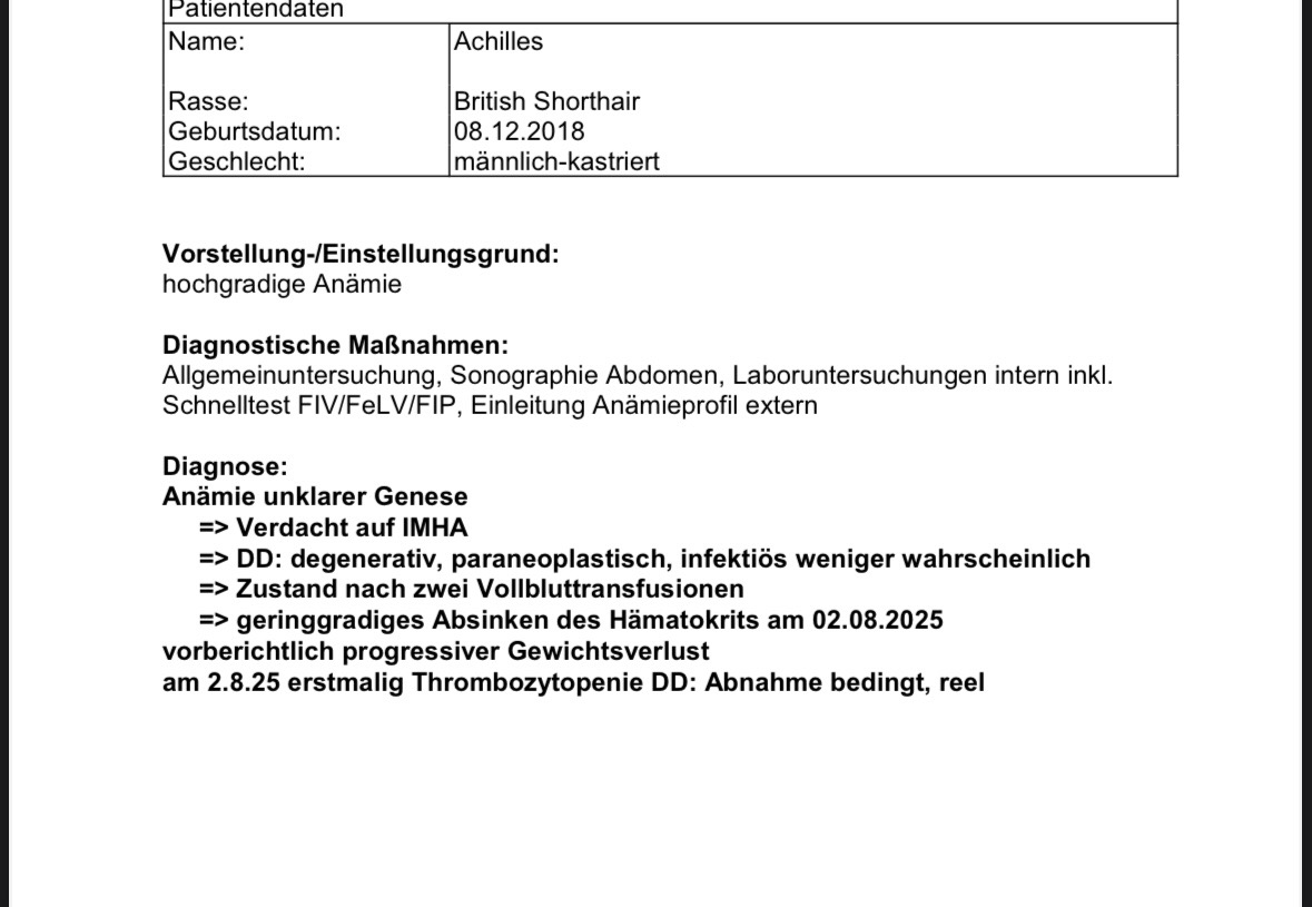 Hilfe für Achilles campaign photo, 6 of 8