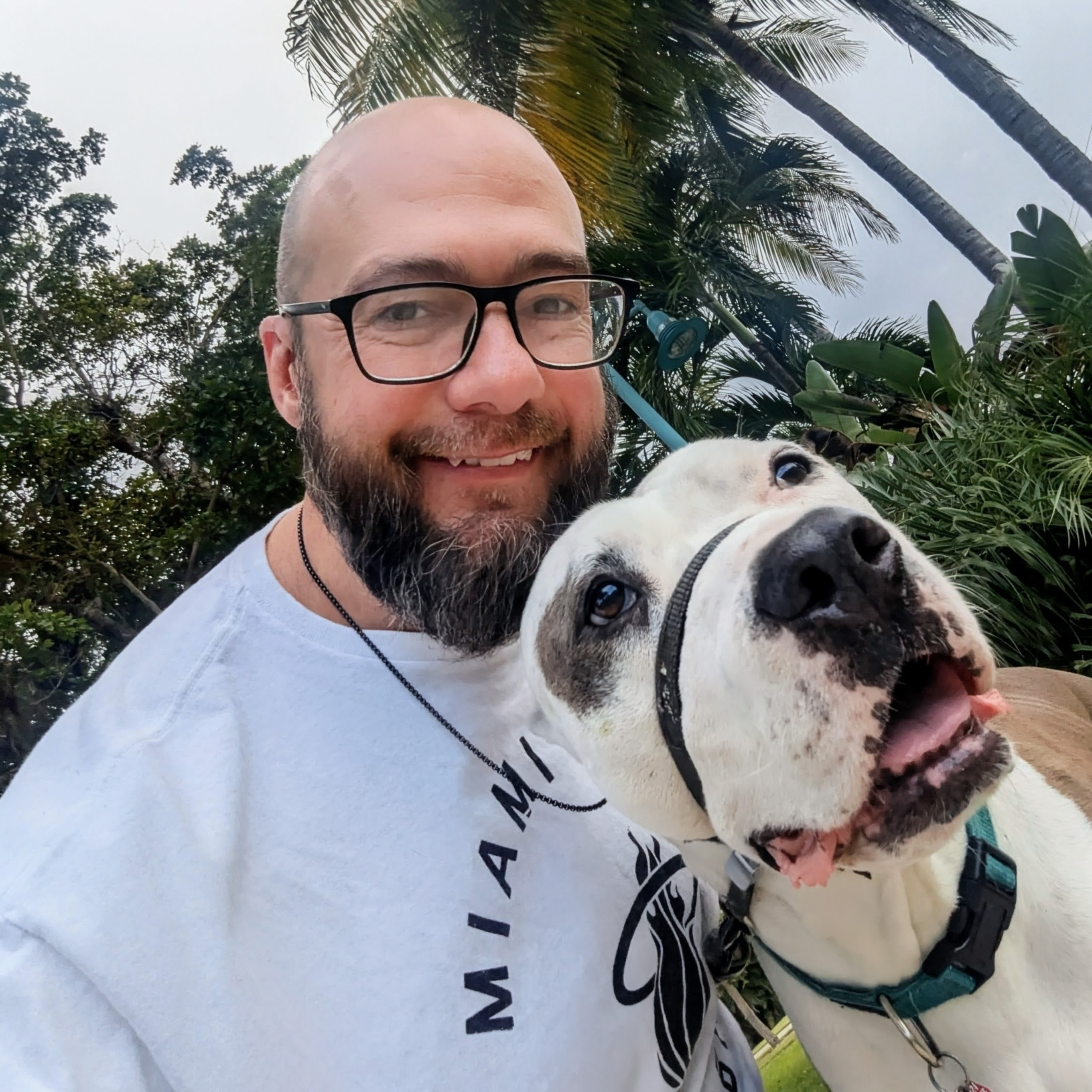 HELP ME BRING MARSHALL HOME TO BARCELONA campaign photo, 2 of 8