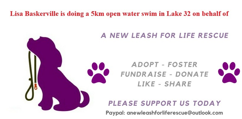 Lisa's open water swim to support A New Leash For Life campaign photo, 5 of 6