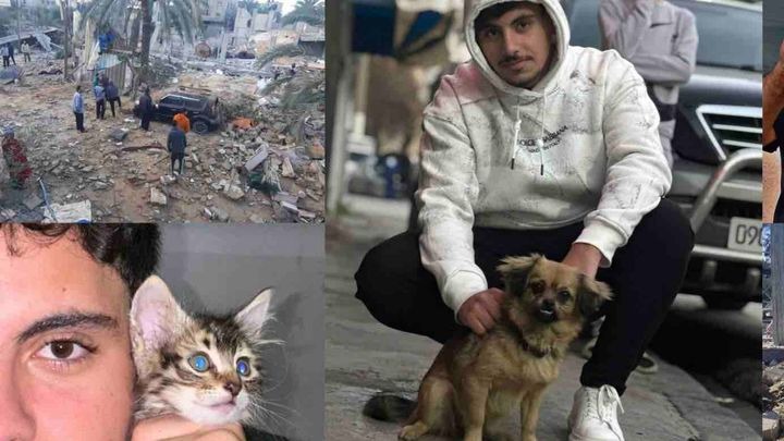 User-uploaded image 1