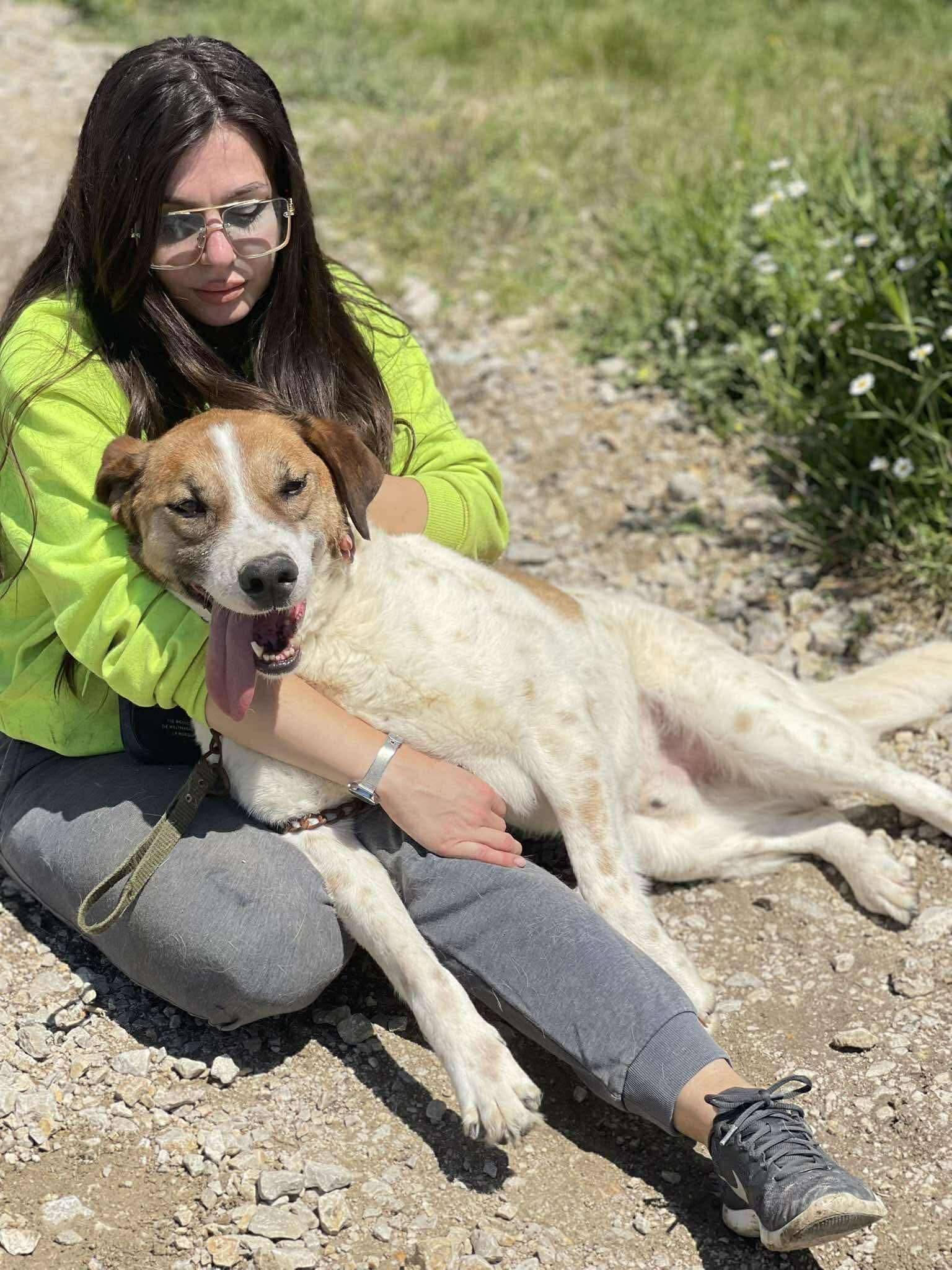 Help Ben get to the UK and a foster home! campaign photo, 5 of 6