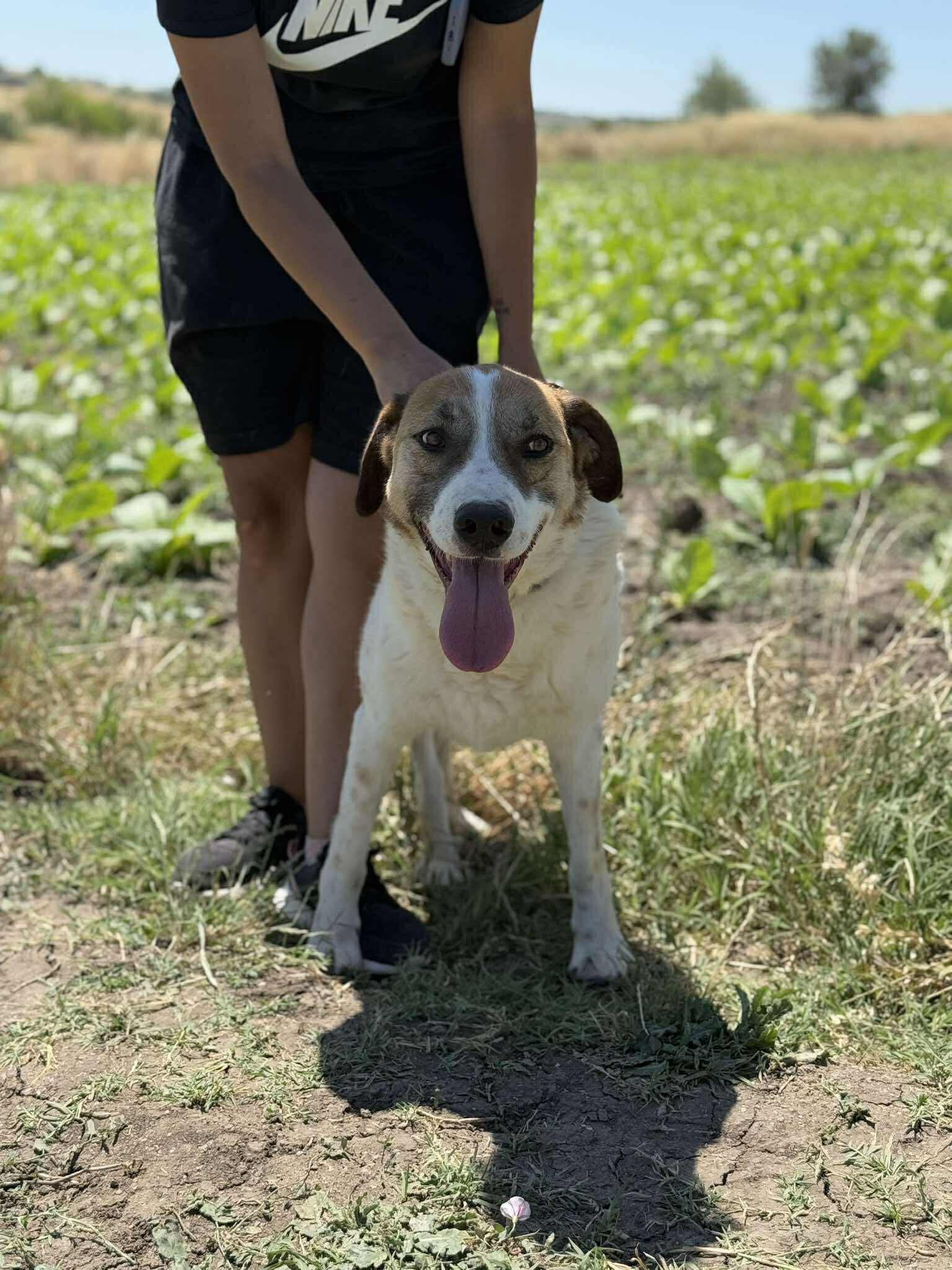 Help Ben get to the UK and a foster home! campaign photo, 2 of 6