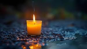 Support Sasha's Family After Tragic Loss campaign photo, 4 of 5