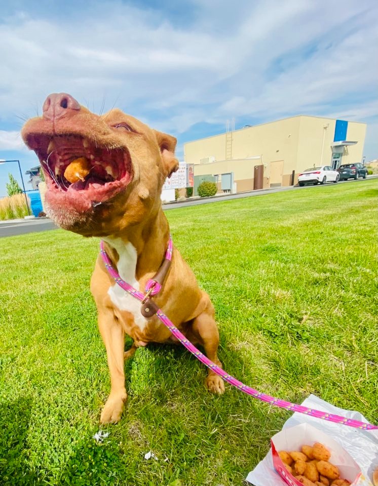 Help Sophie Get the Medical Care She Needs campaign photo, 2 of 7