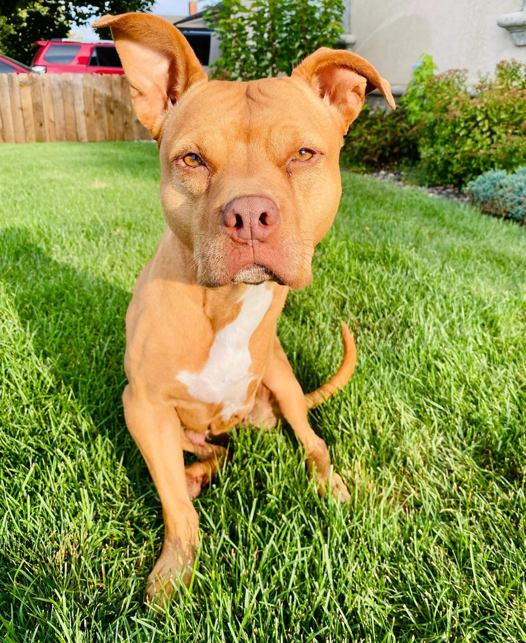 Help Sophie Get the Medical Care She Needs campaign photo, 5 of 7