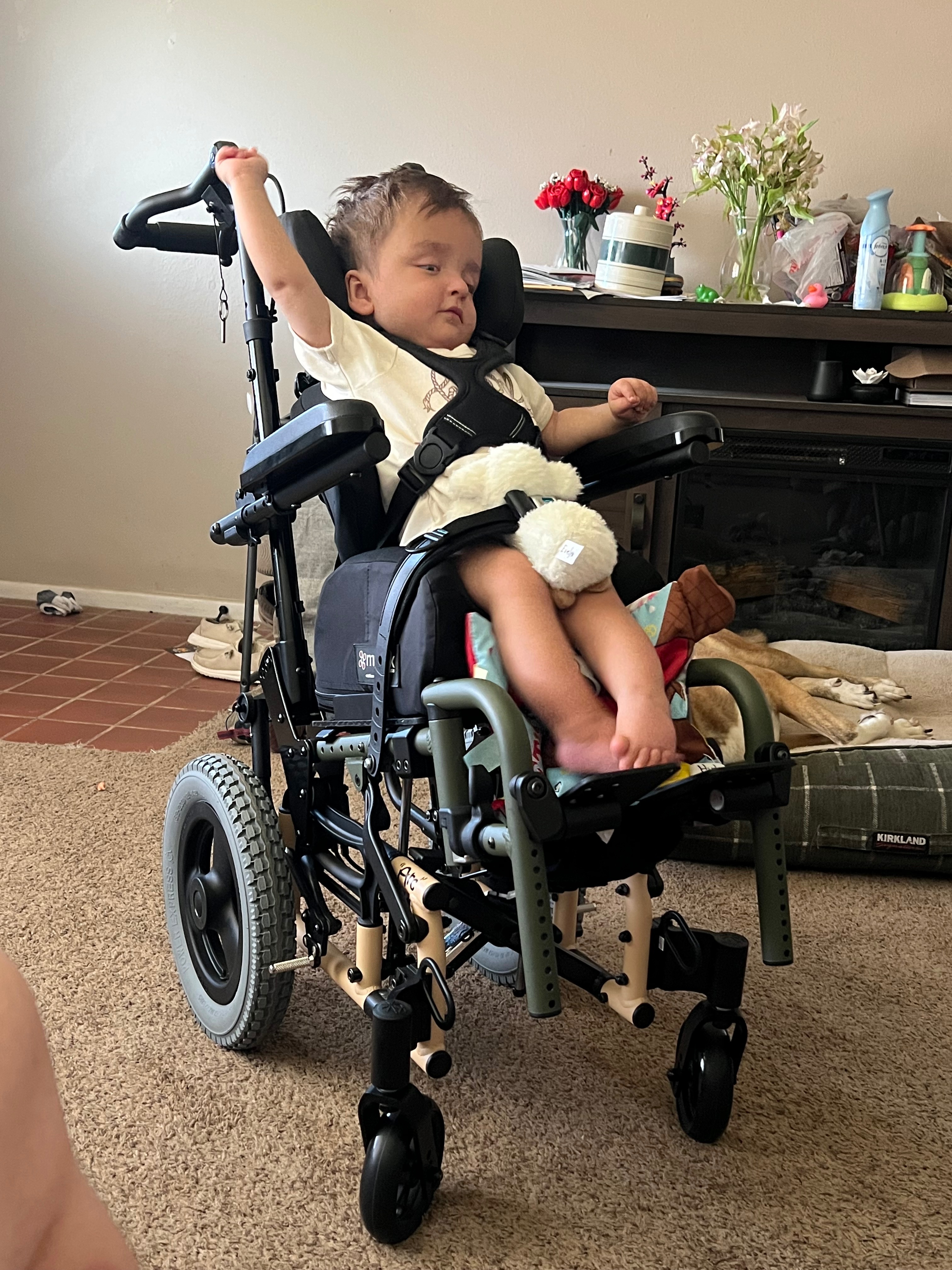 User-uploaded image 1