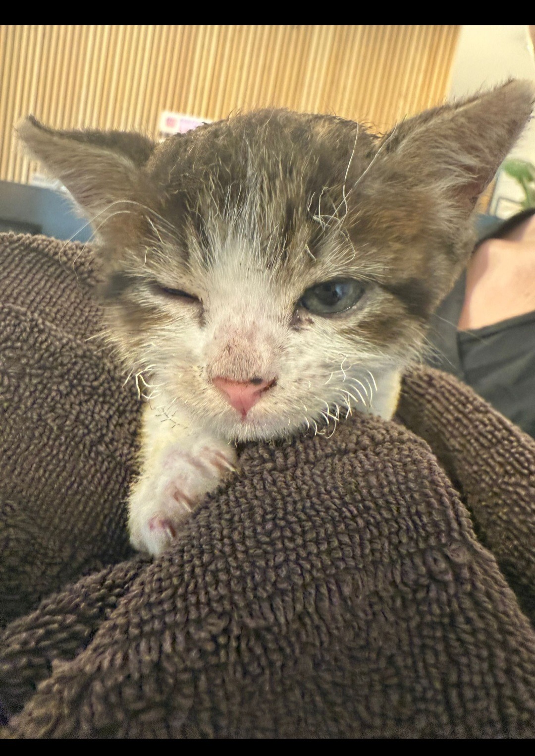 User-uploaded image 3