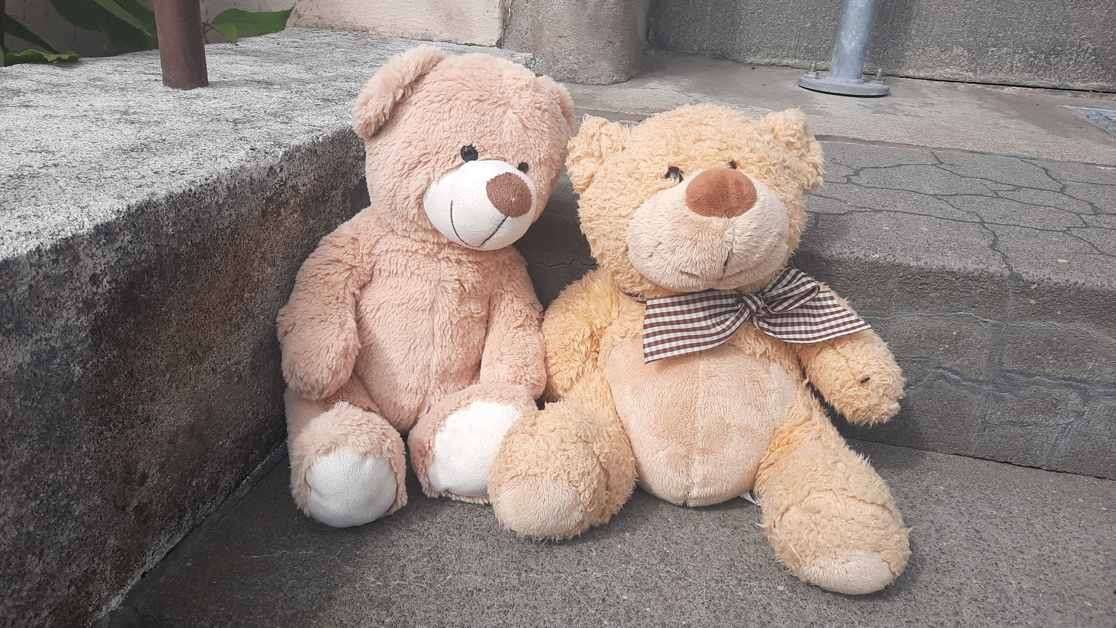 User-uploaded image 4