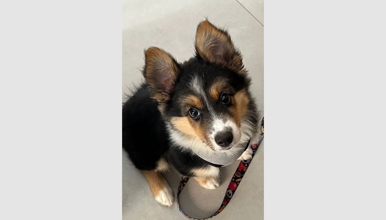 She gives me hope, and I wanna give her a home campaign photo, 4 of 5