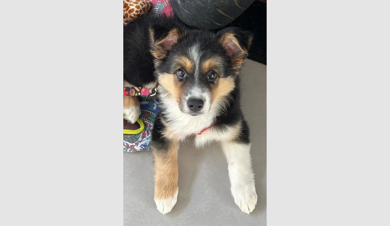 She gives me hope, and I wanna give her a home campaign photo, 2 of 5