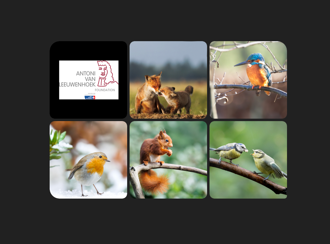 Prints of hope for cancer patients & cancer research campaign photo, 2 of 3