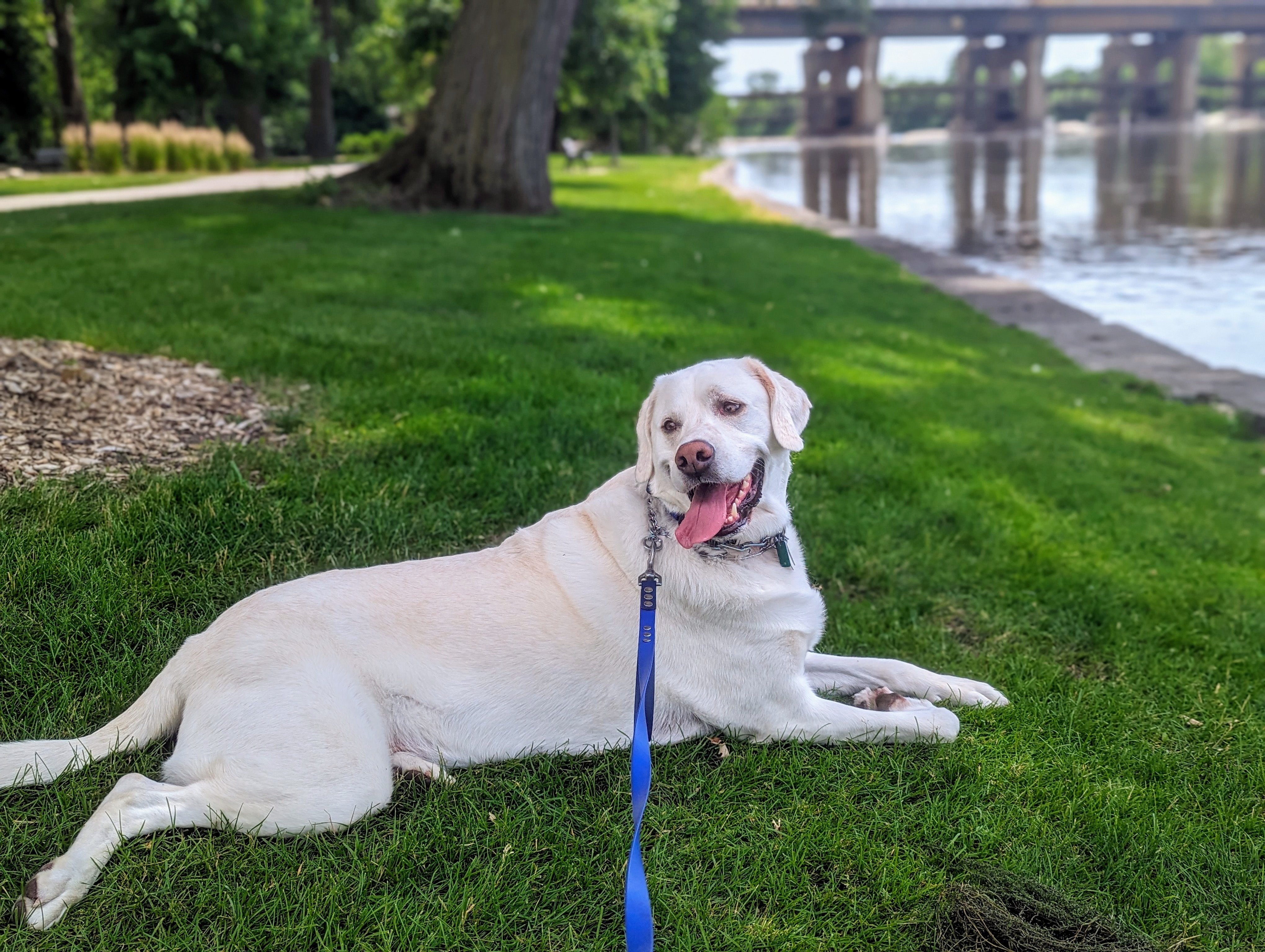 30 Mile Walk with Jack for American Cancer Society campaign photo, 2 of 4