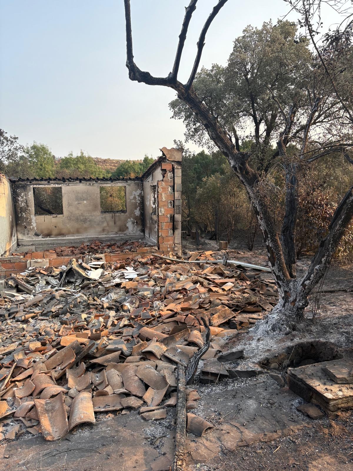 HELP LINDA REBUILD ALL SHE LOST IN THE WILDFIRE campaign photo, 2 of 8