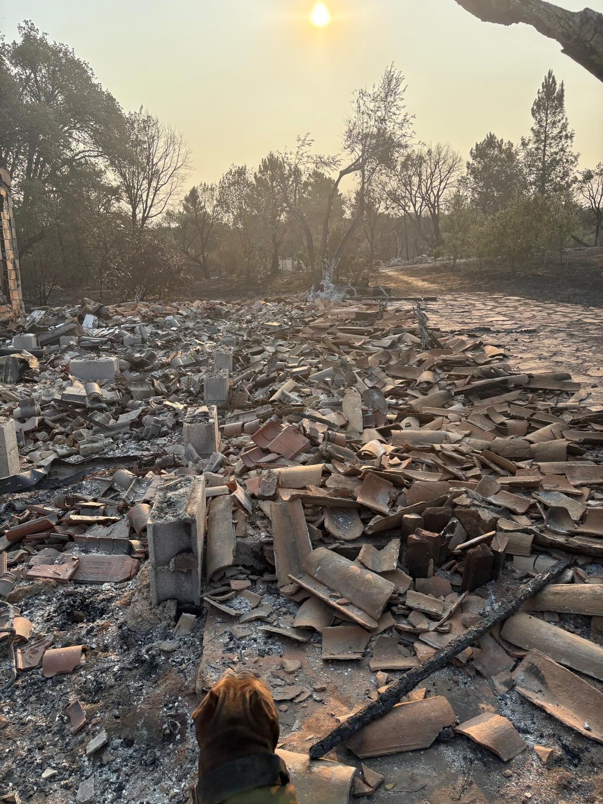 HELP LINDA REBUILD ALL SHE LOST IN THE WILDFIRE campaign photo, 4 of 8