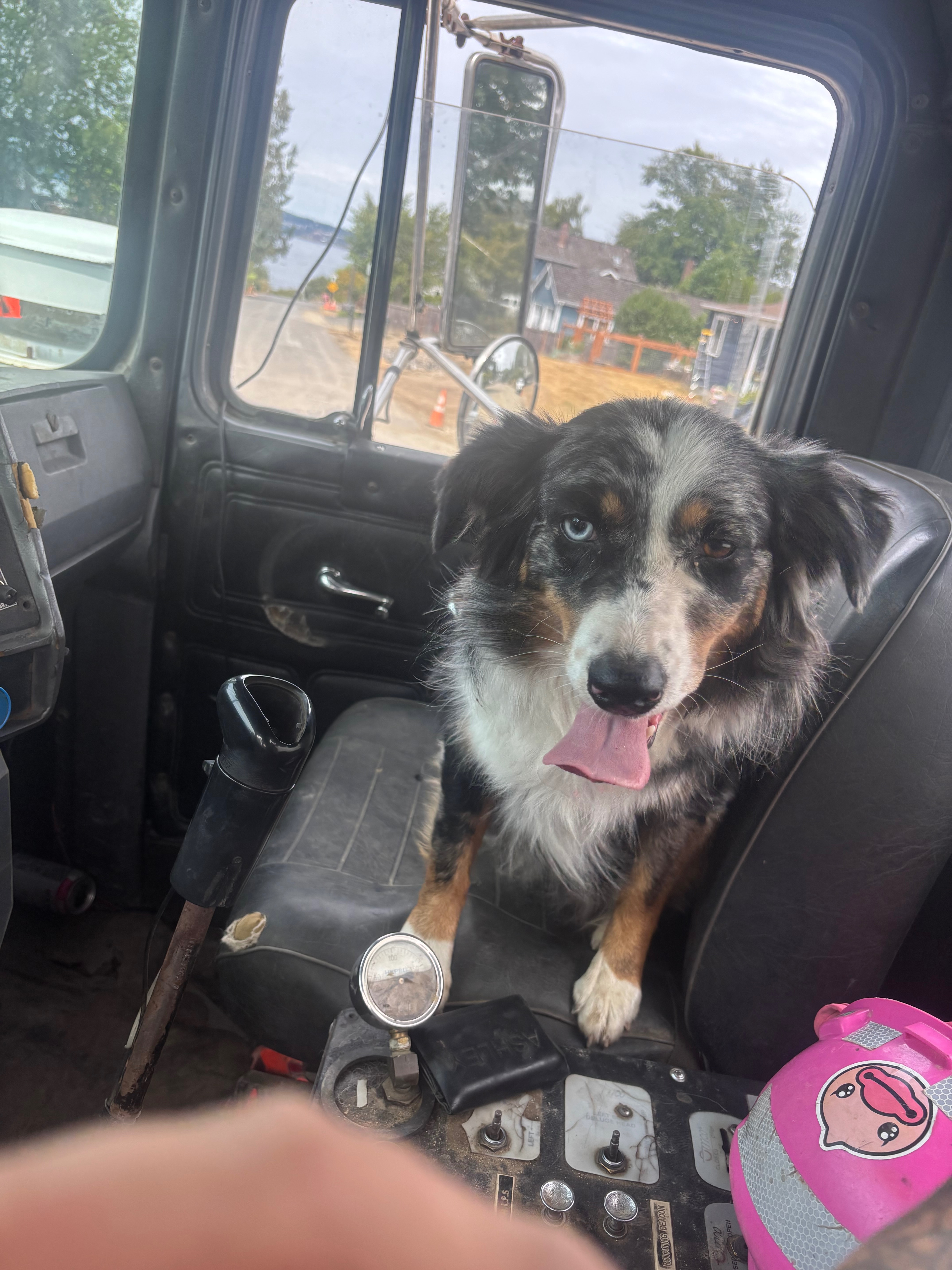 Support Oakley's Urgent Surgery Needs campaign photo, 2 of 5