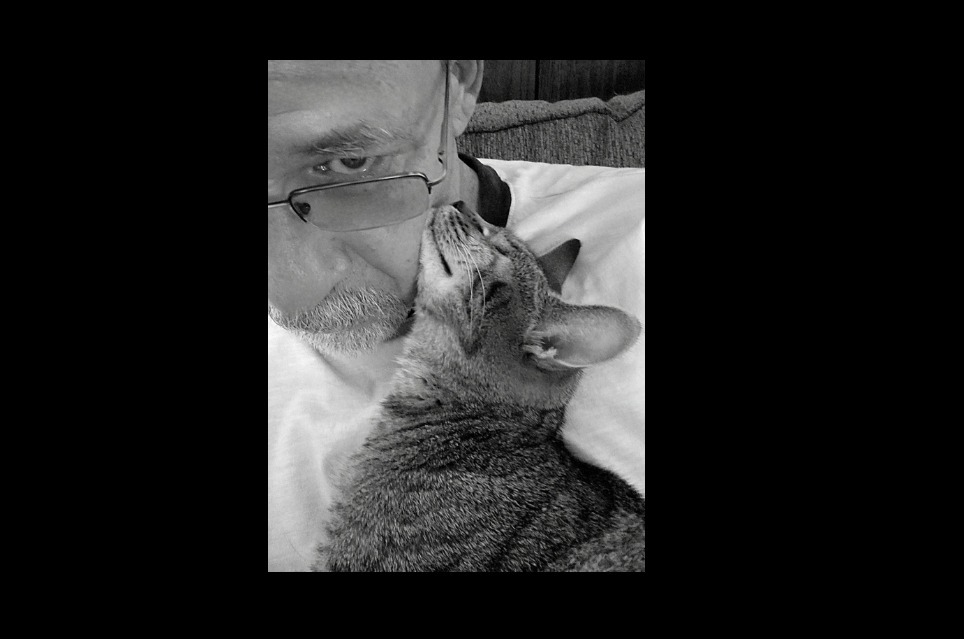 Help Joe Cover Willow's Dental Surgery Costs campaign photo, 7 of 8
