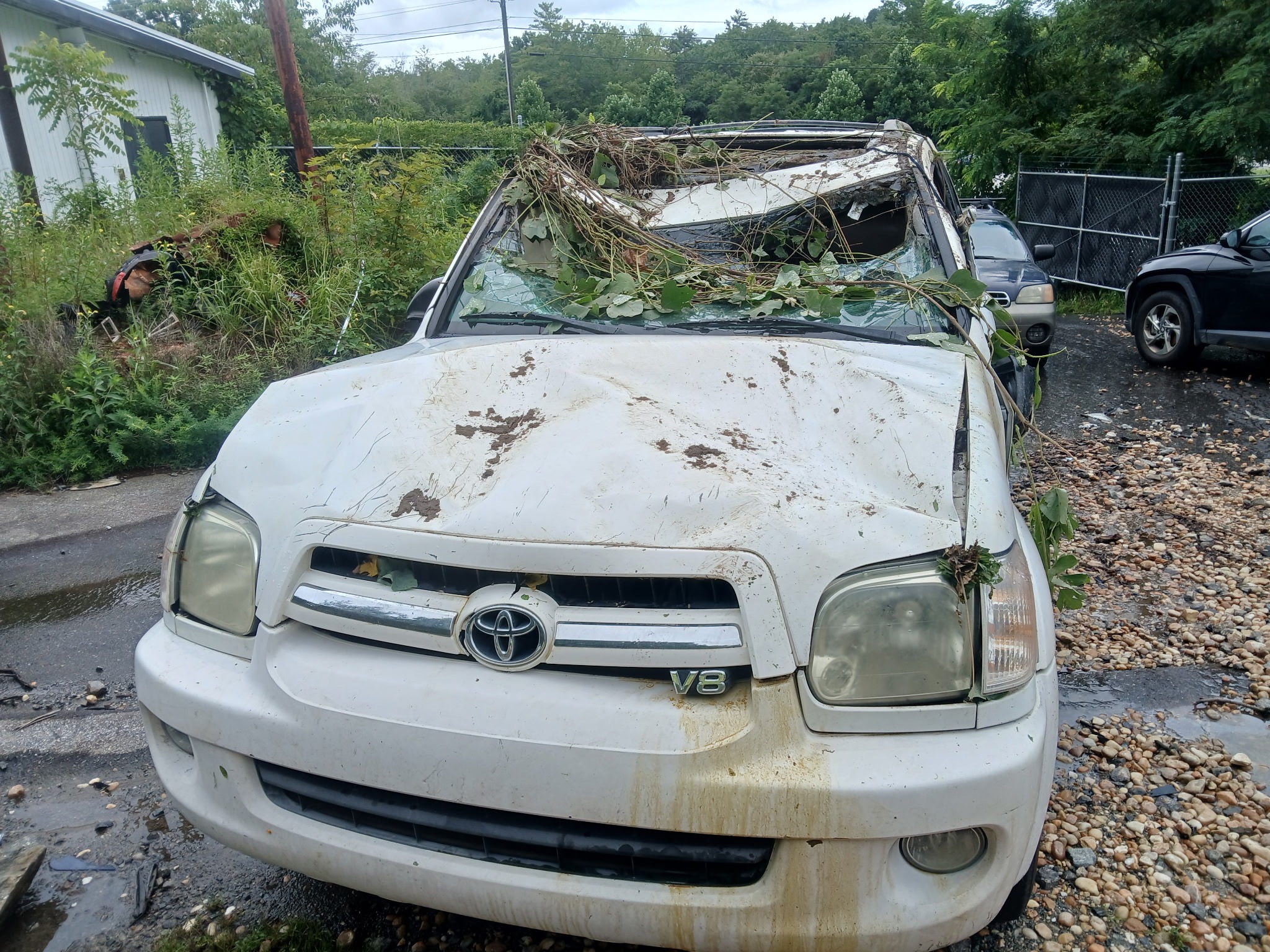 Help Dani Recover from Drunk Driver Car Accident campaign photo, 5 of 8