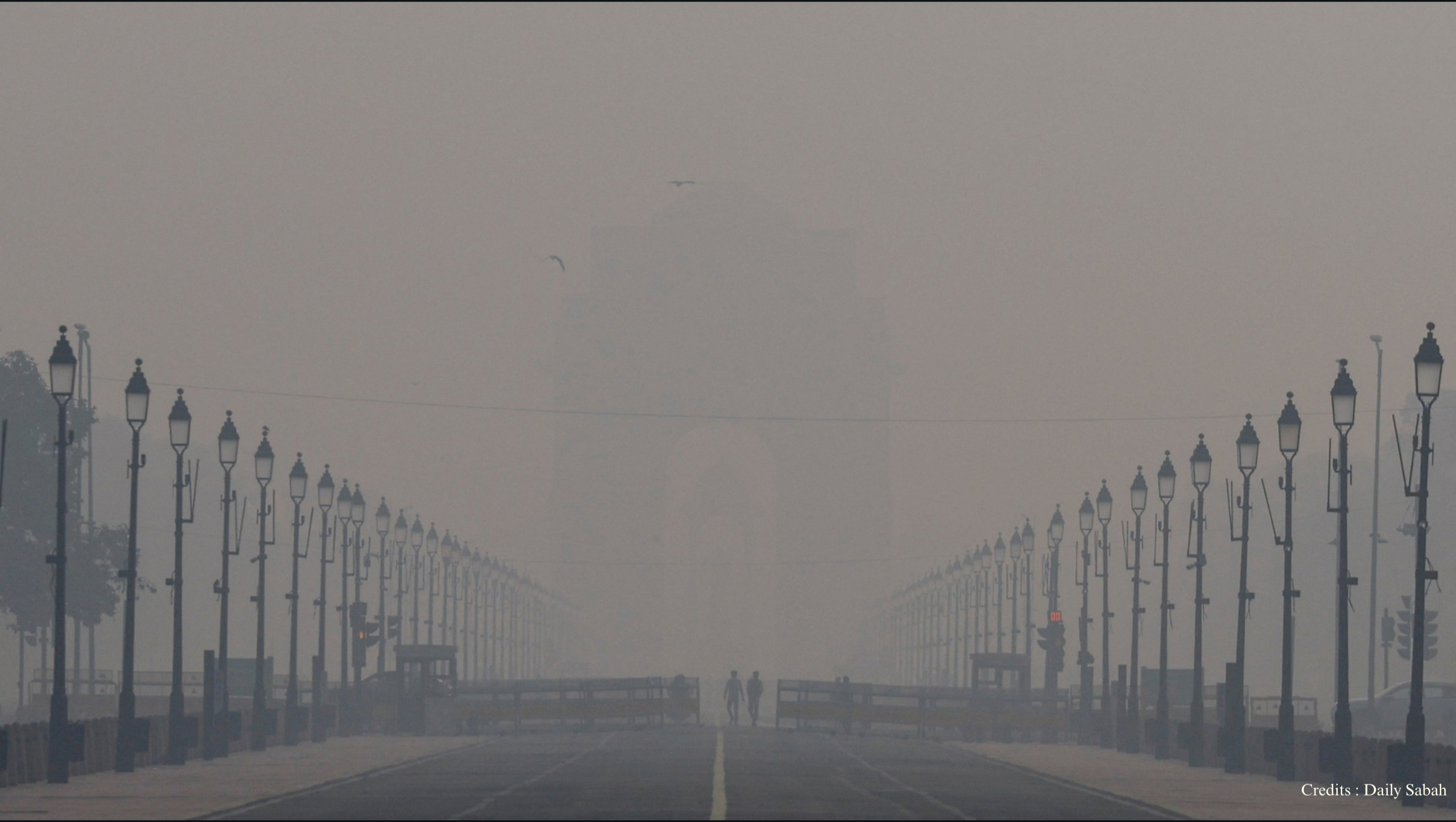 Donate to Fight Pollution in Delhi NCR photo
