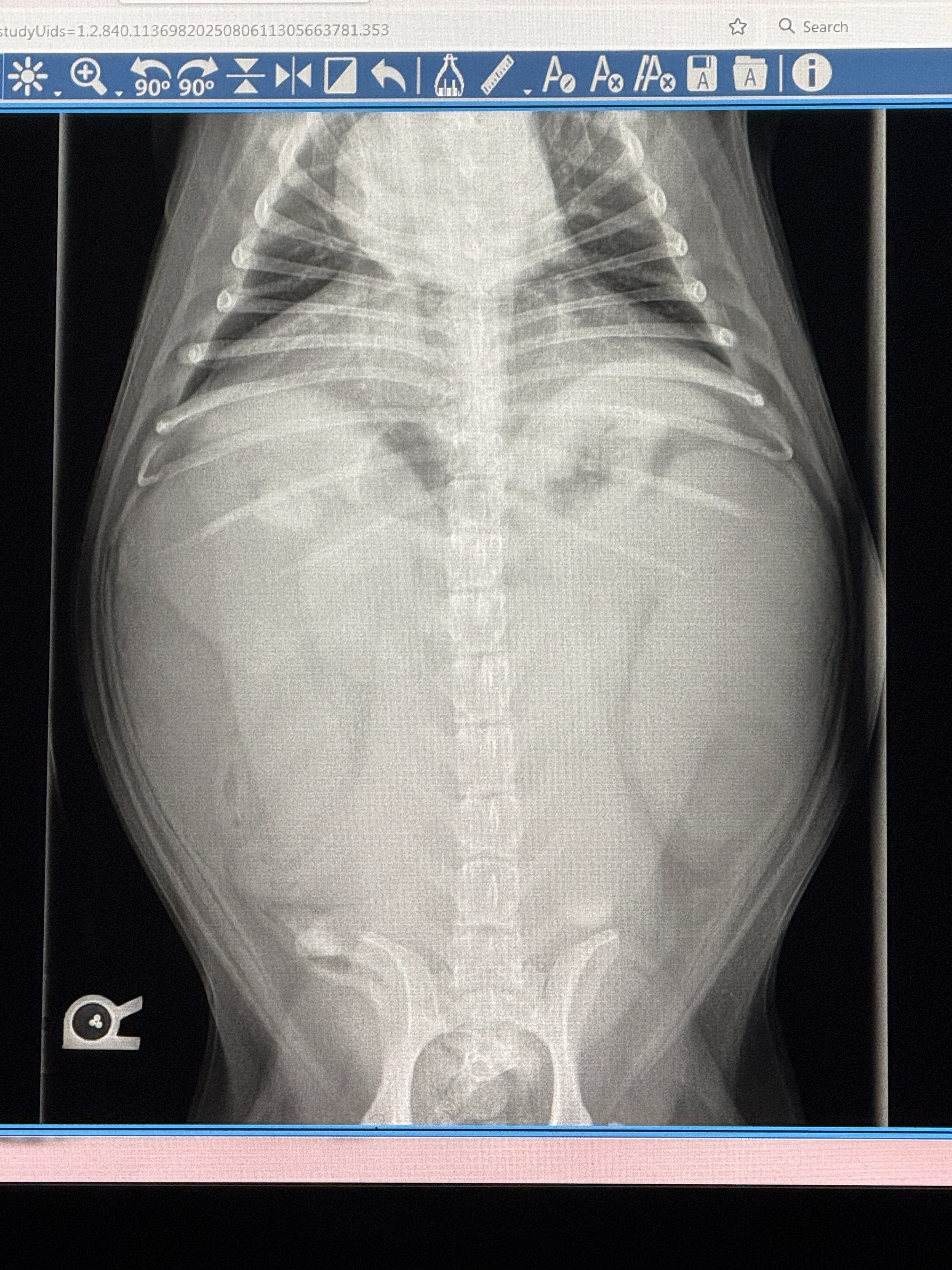 Please Help Regan Heal campaign photo, 5 of 8