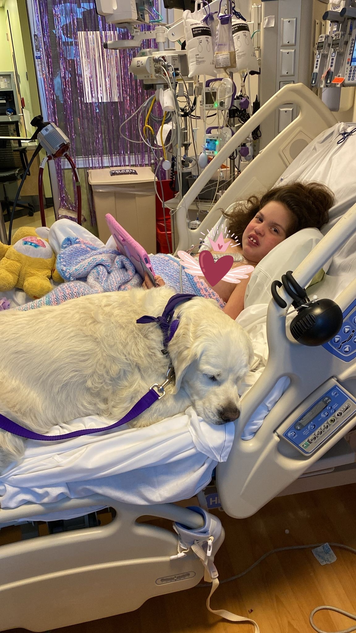 Donate for Nova's Heart Transplant Journey campaign photo, 2 of 8