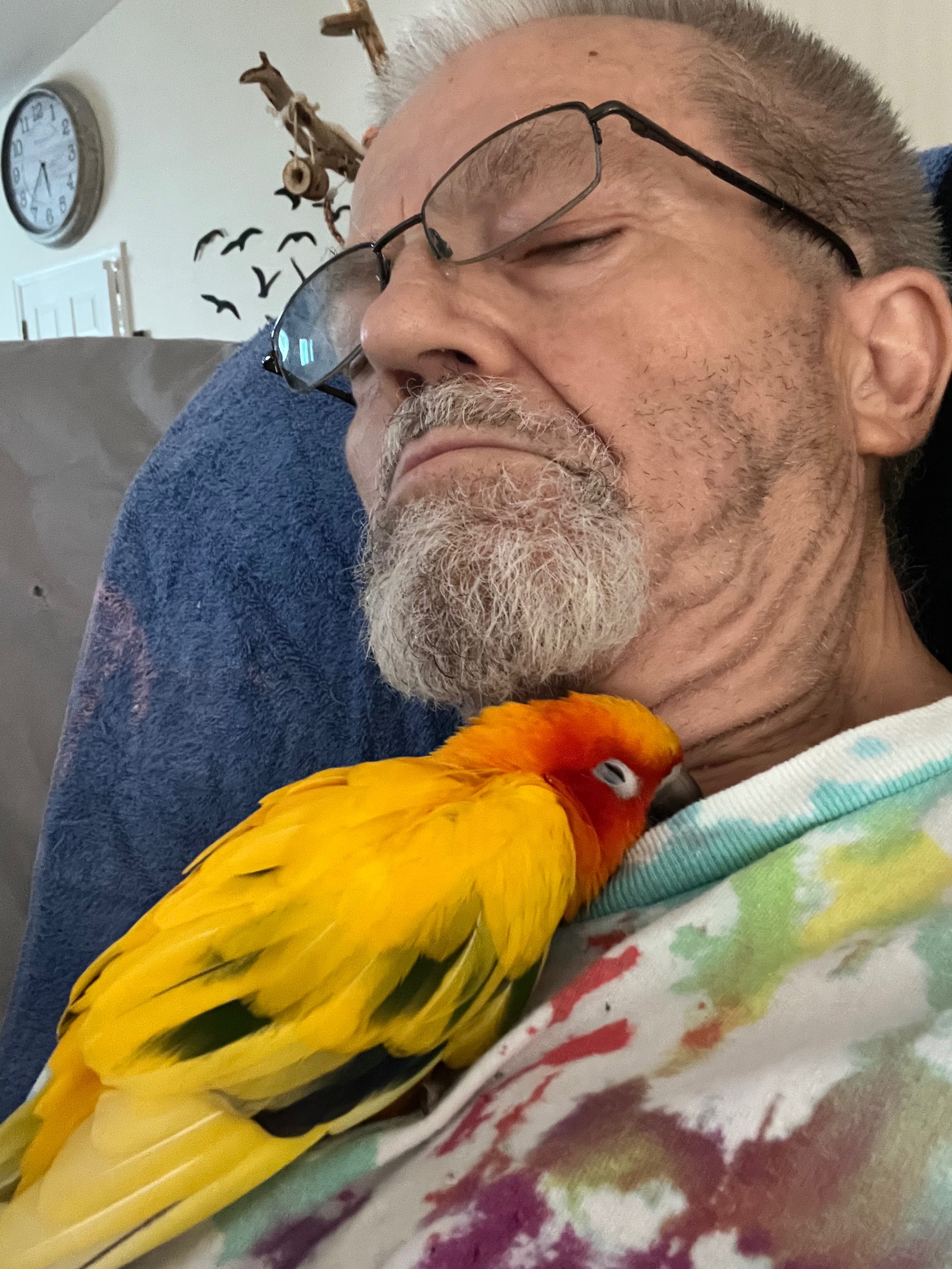 Support Todd's Flock After Sweet Pea's Loss campaign photo, 4 of 5