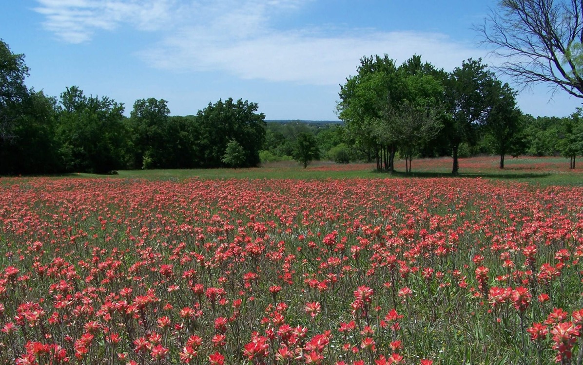 User-uploaded image 1