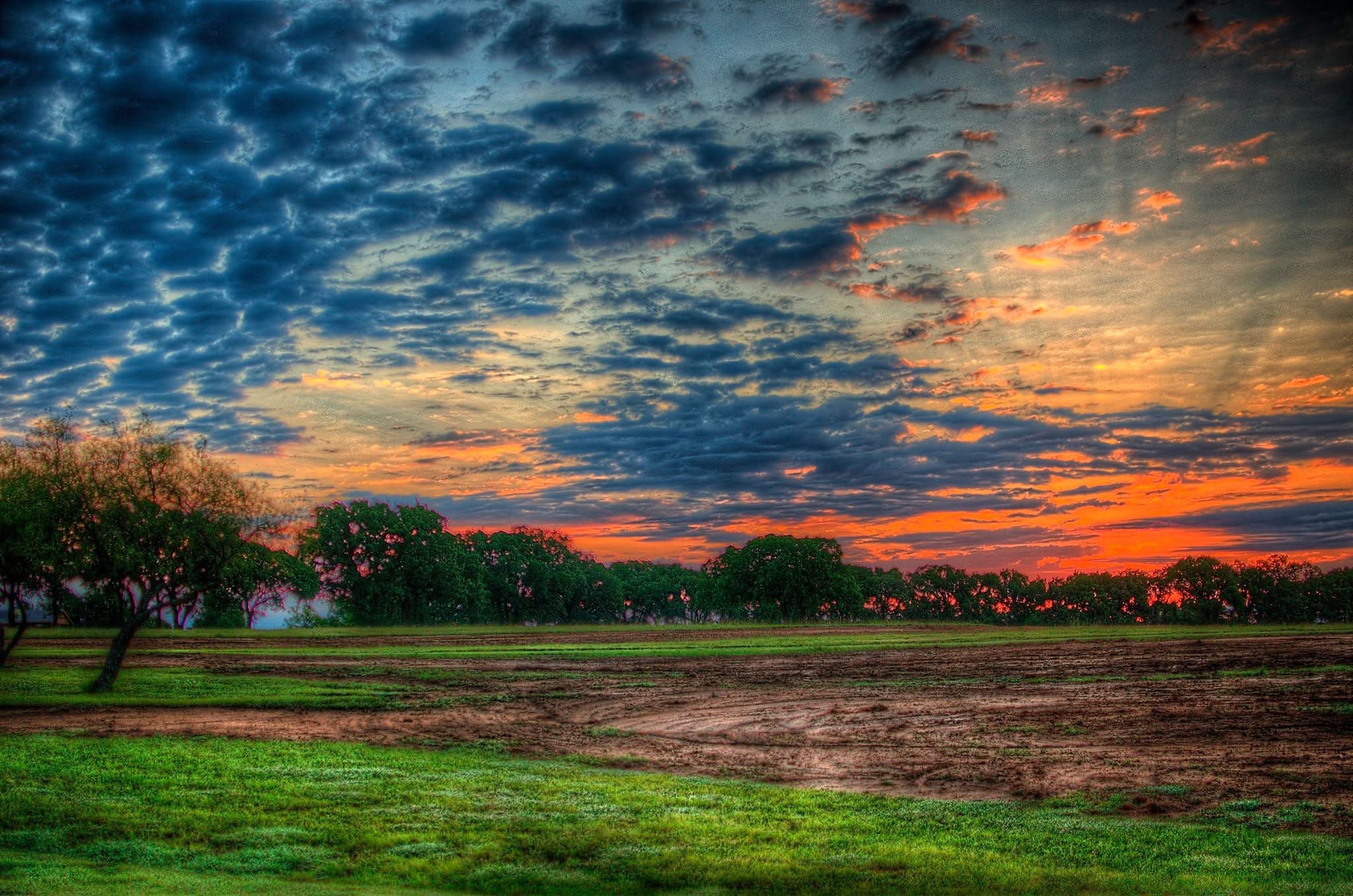 User-uploaded image 2