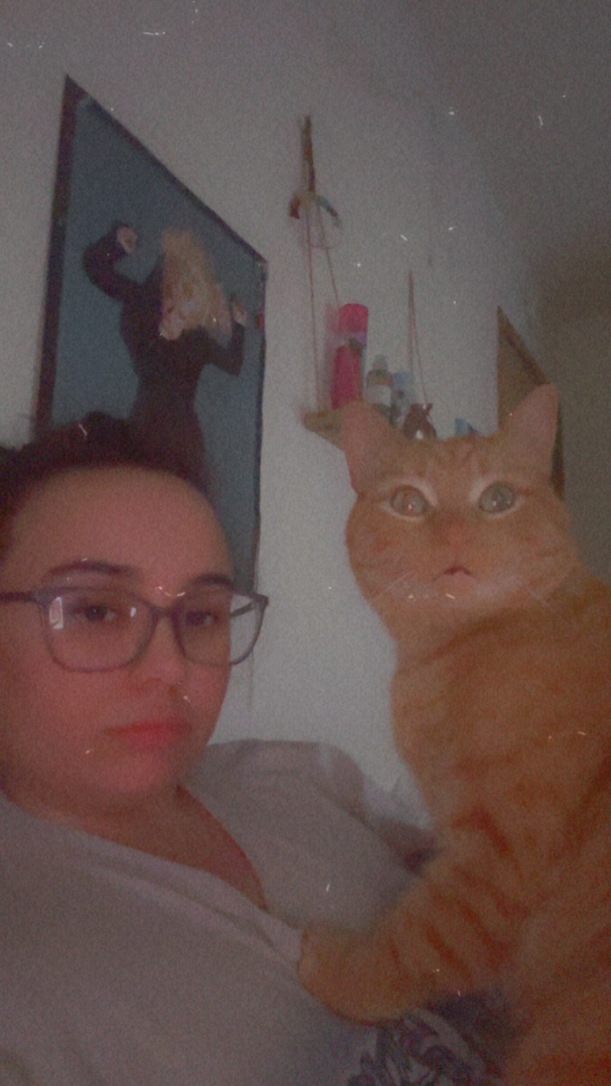 Stop Our Eviction: A Cat's Home at Risk campaign photo, 2 of 4
