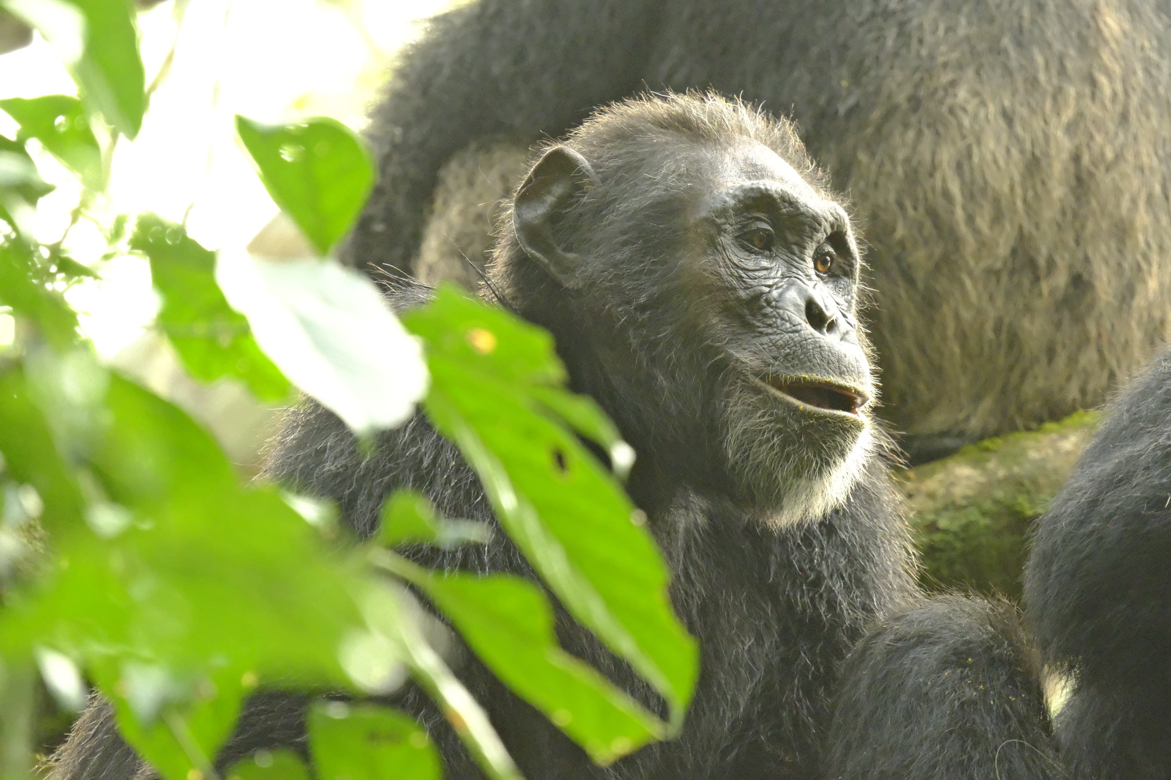 Be a Guardian to wildlife campaign photo, 6 of 8