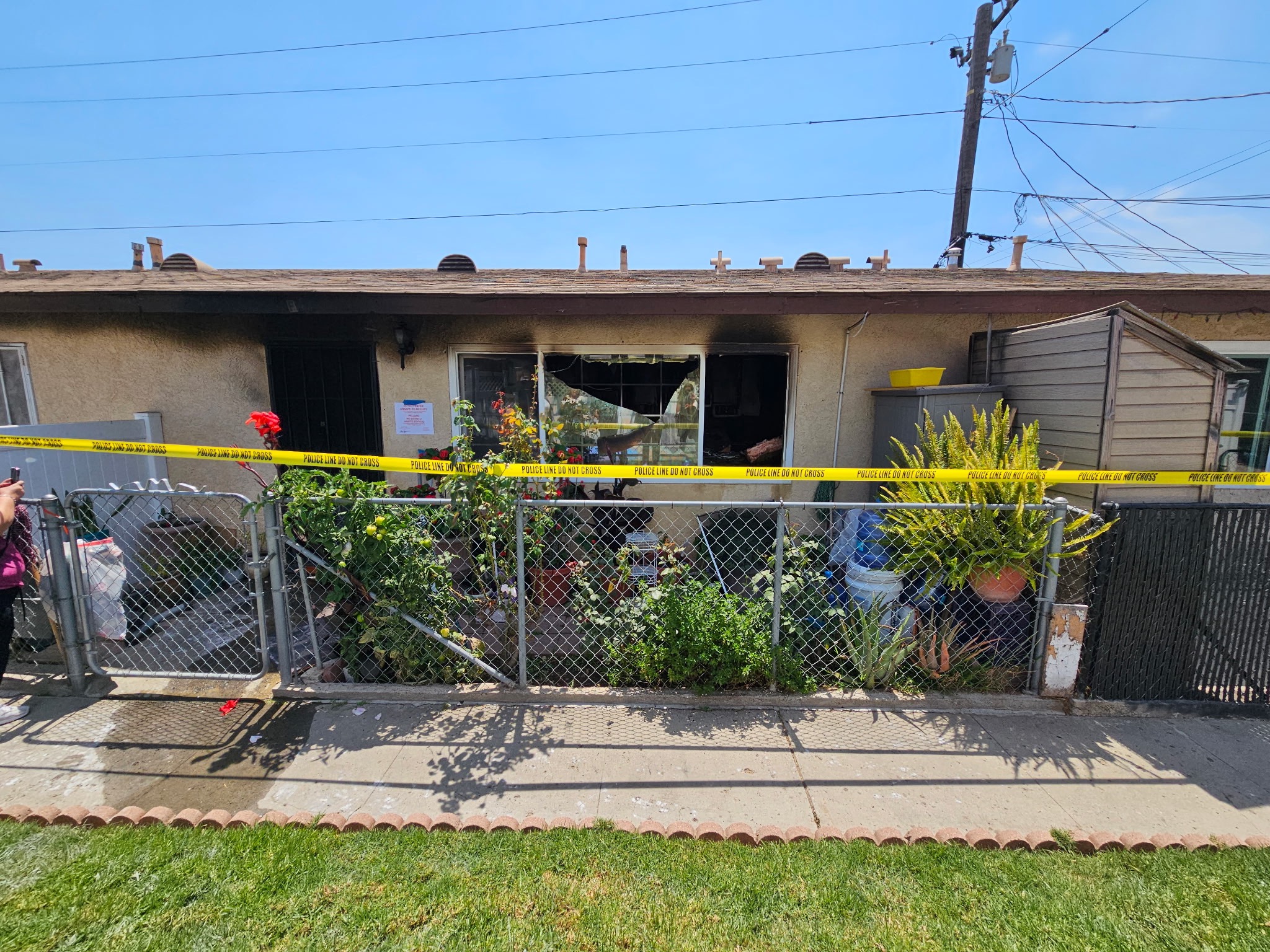 Support Tía Belen's Recovery from Fire campaign photo, 7 of 8