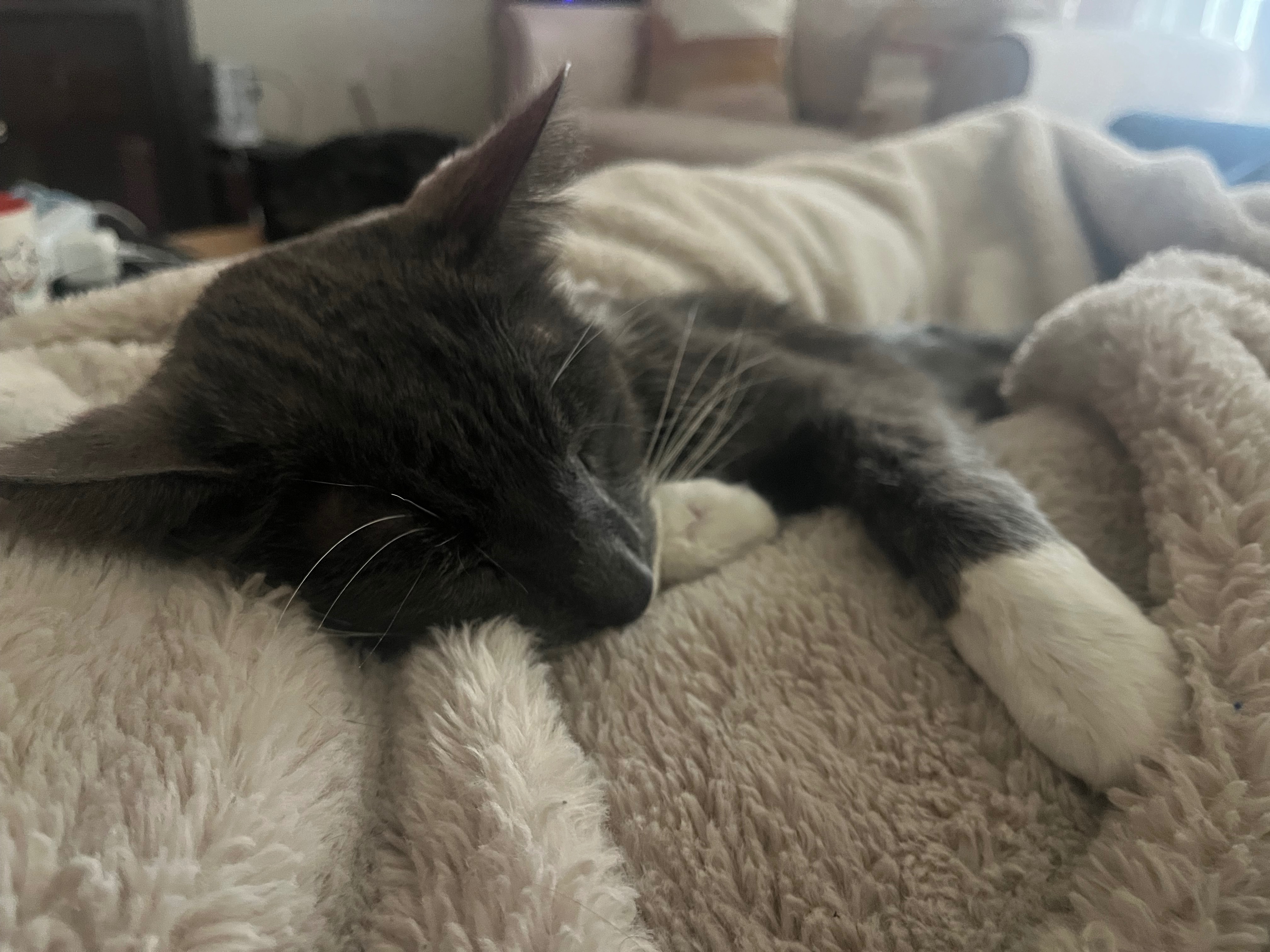 Roy’s Health is Declining: Please help us support him campaign photo, 6 of 7