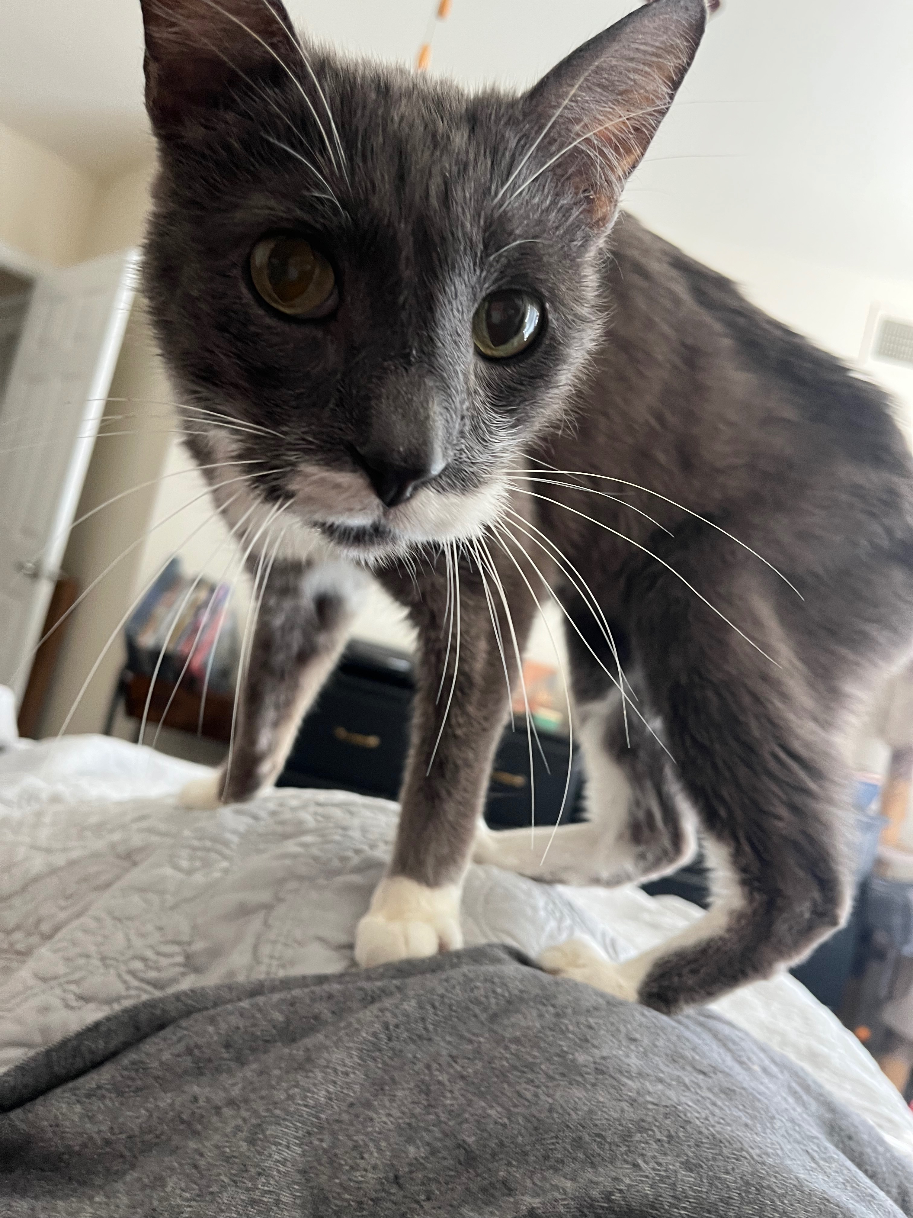 Roy’s Health is Declining: Please help us support him campaign photo, 4 of 7