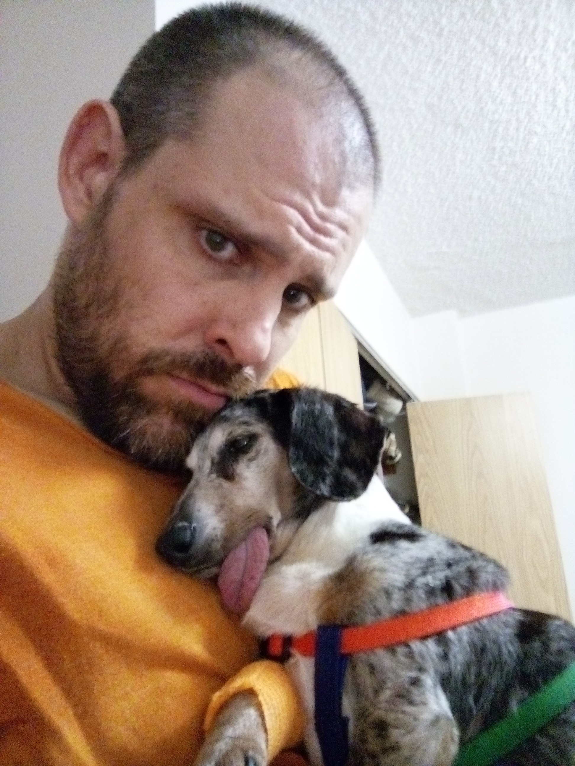 Help cover extensive vet bills for Kurtis n Lucky. campaign photo, 7 of 8