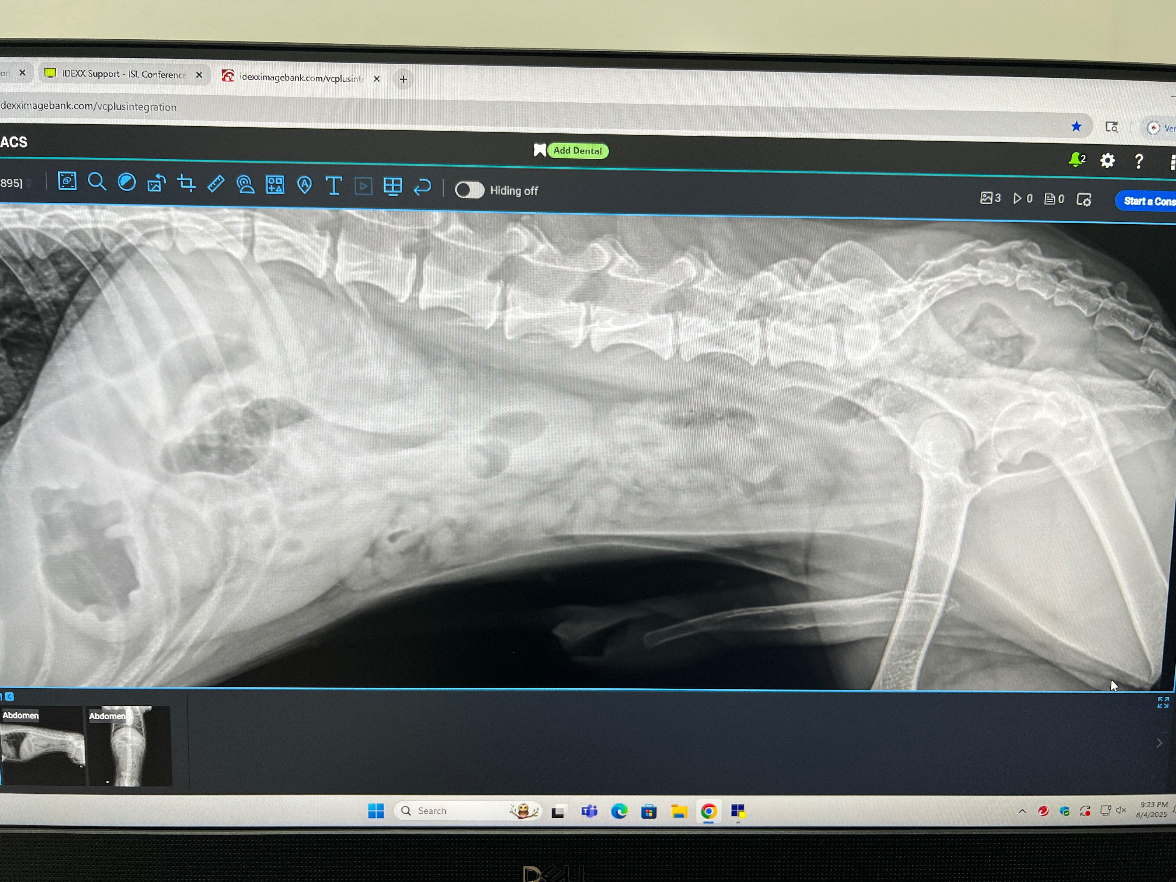 Save Chaping's Dog: Support His Surgery campaign photo, 5 of 7
